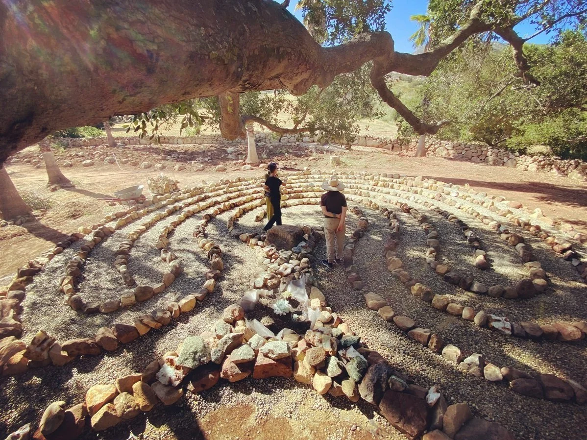 Labyrinth - Walking - 1198 x 898.jpg