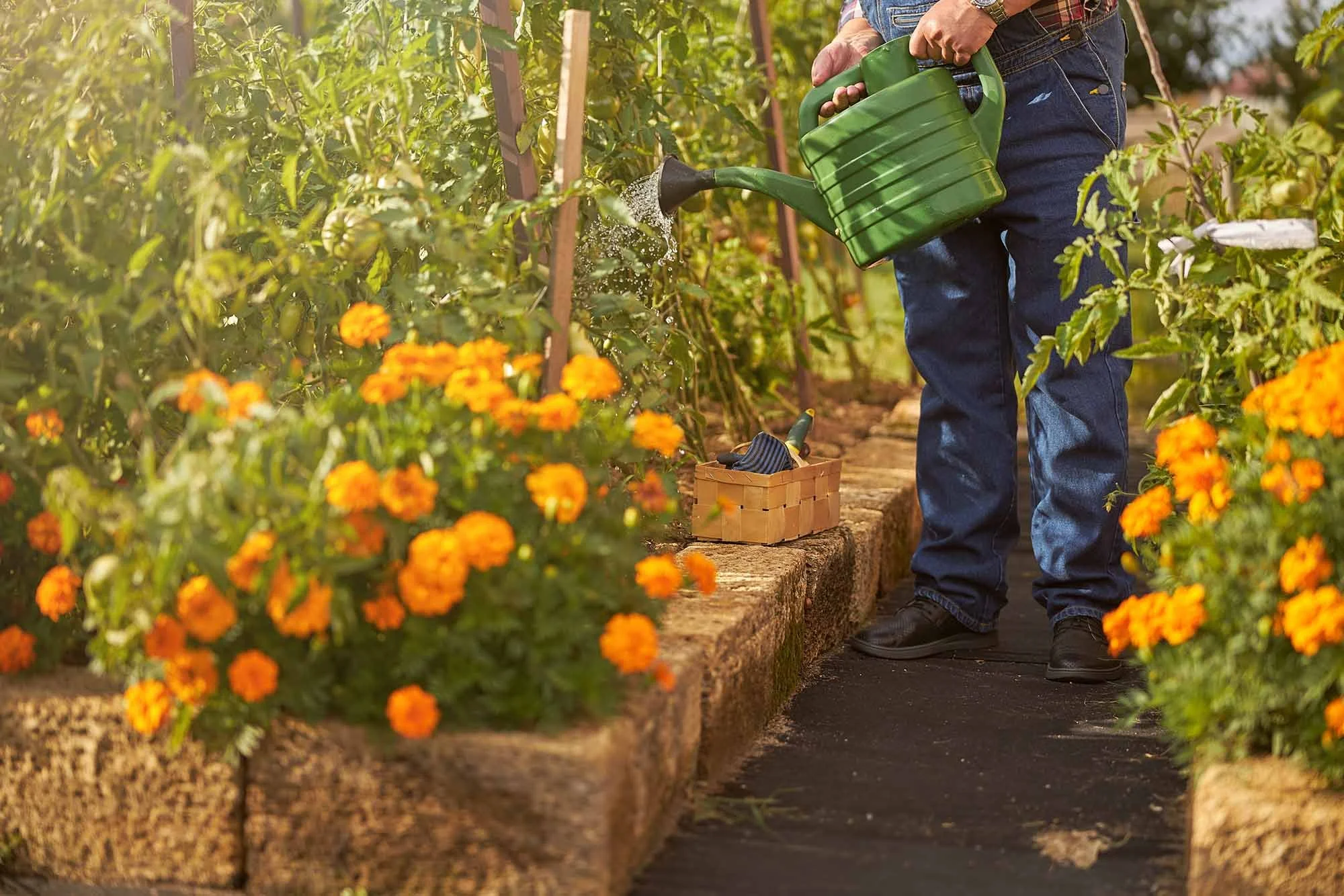 Man watering garden in summer, symbolizing nervous system healing and holistic health in Salem Oregon