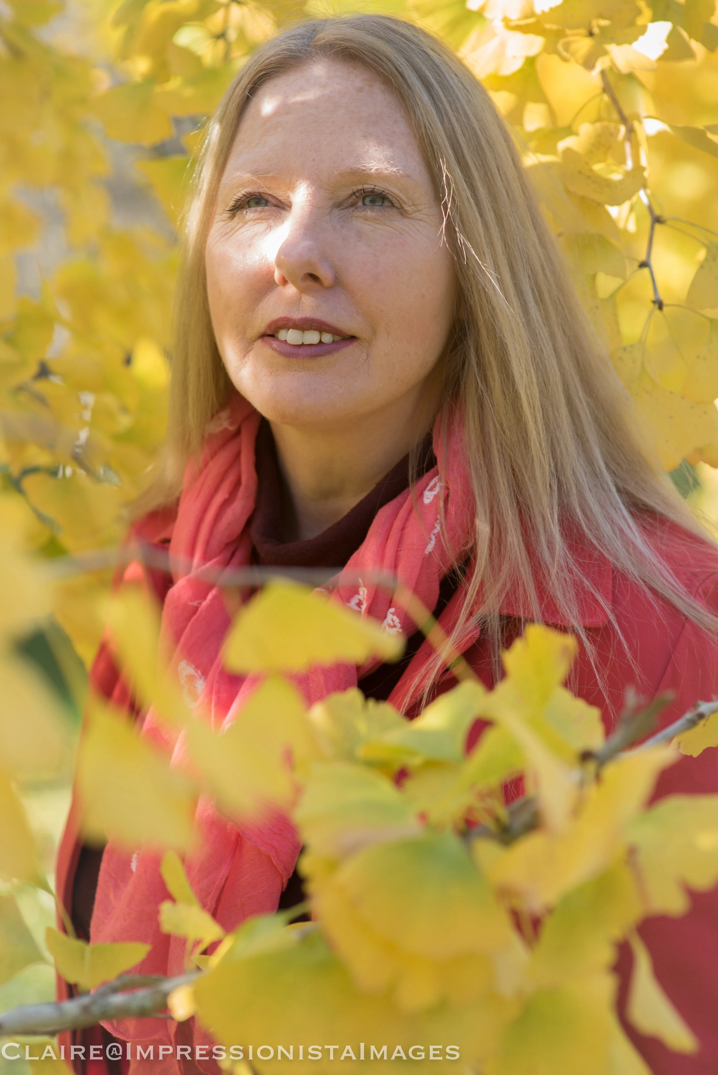 Autumn Beauty
