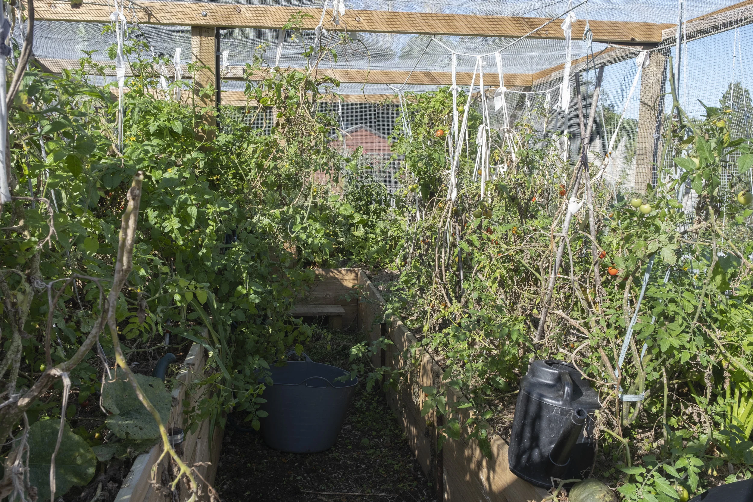 ‘The Greenhouse’