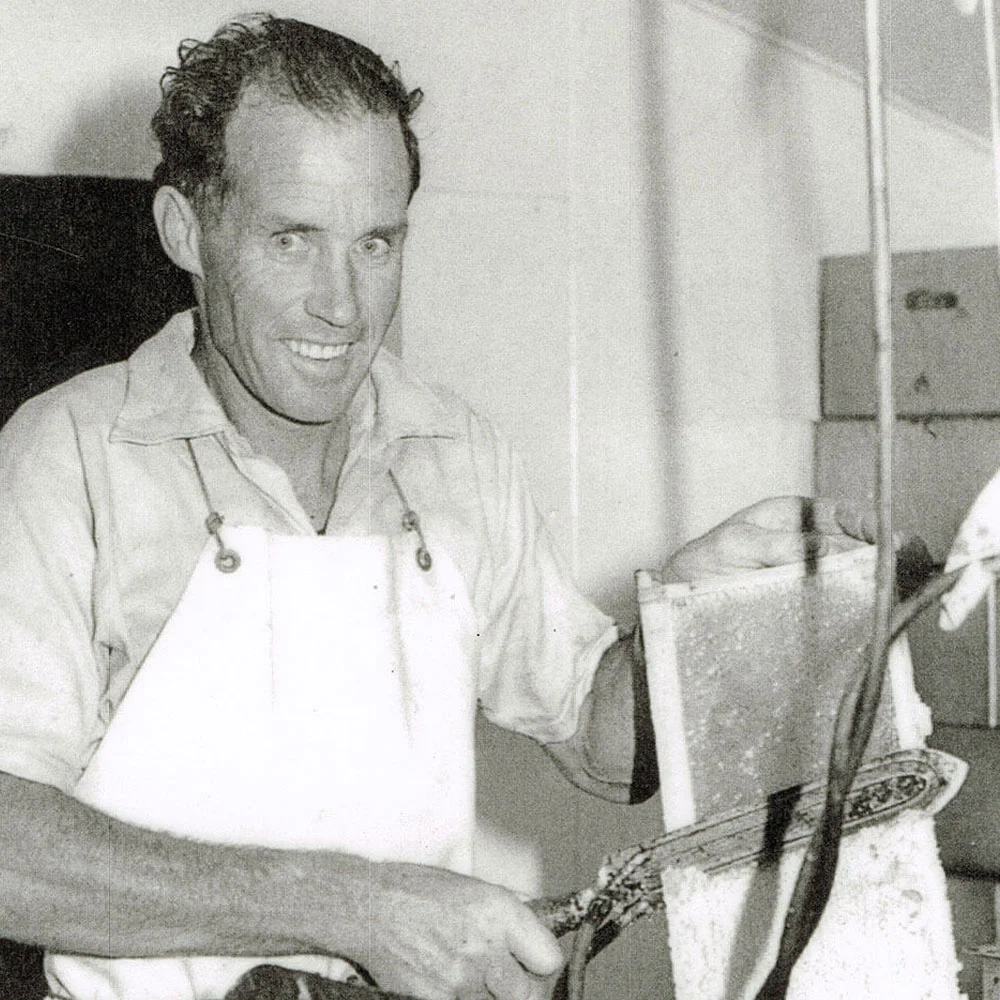 Trevor Rowe – uncapping a frame of honey ready for extracting.