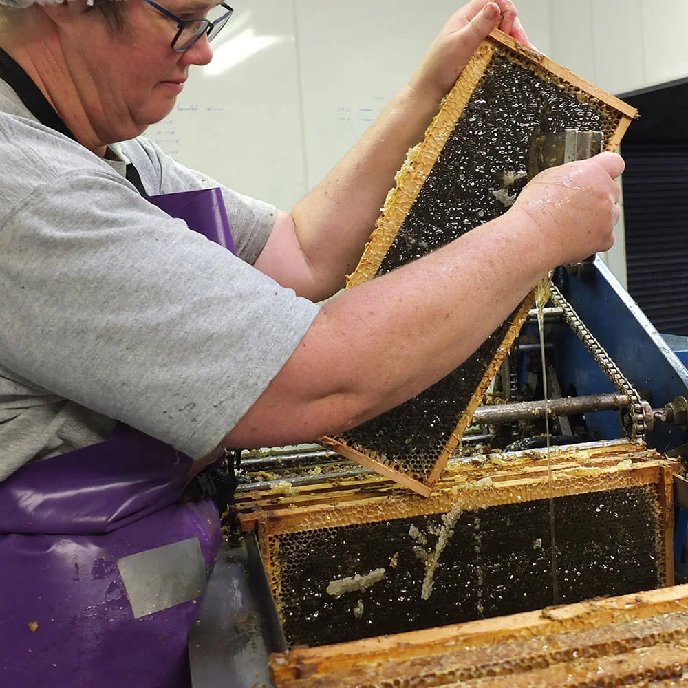 Sonia preparing frames ready for the extractor