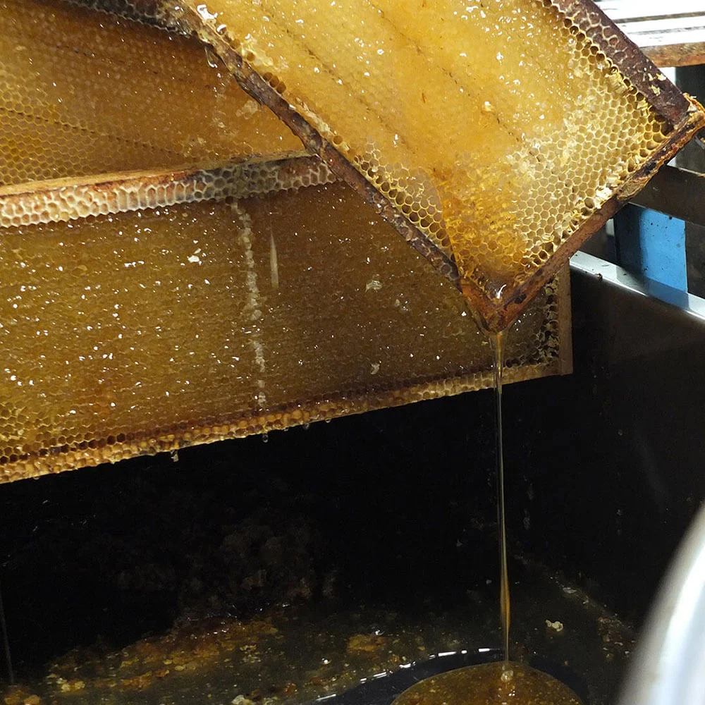 Our rich honey frames ready for extraction