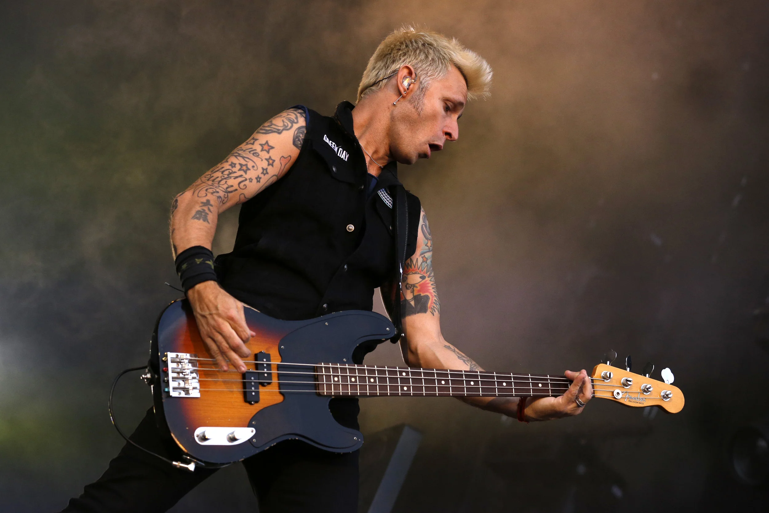 RiP2013_GreenDay_Mike_Dirnt_0002.JPG