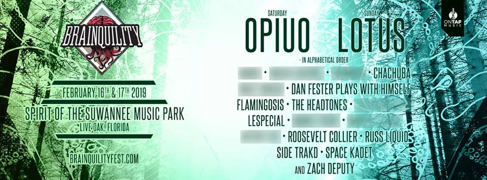 Brainquility 2019 Official Lineup Banner