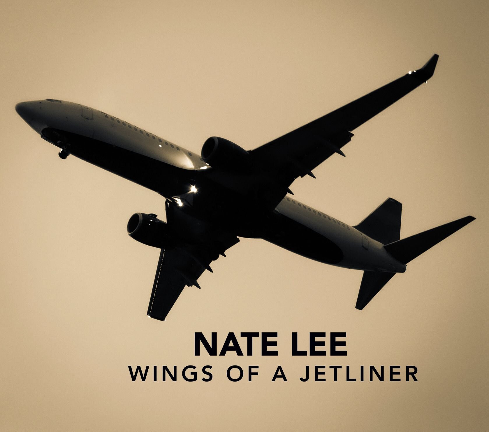 Review: Nate Lee Brings Familiar Friends to Playful 'Wings of a Jetliner'