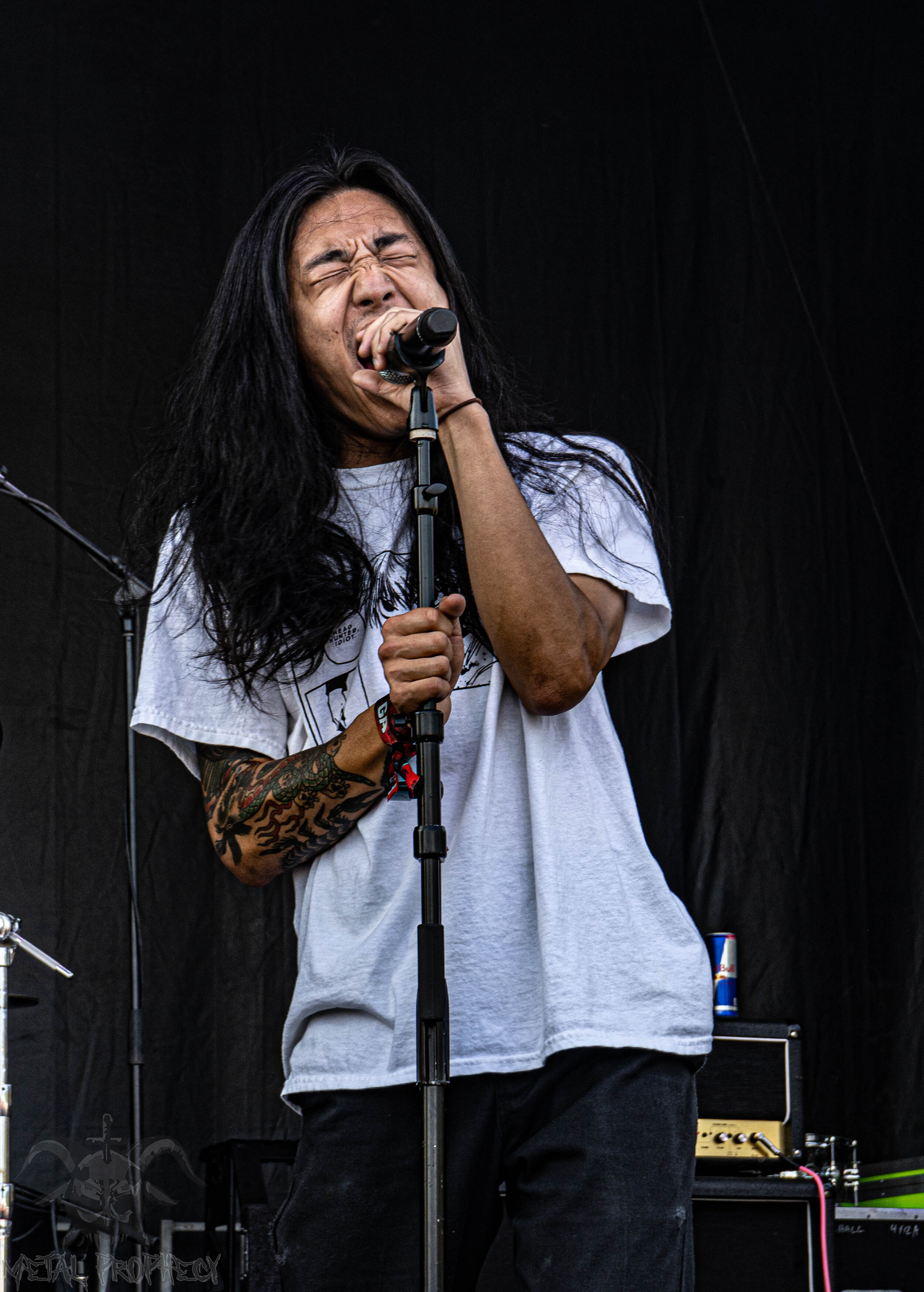 Head Hunter at Blue Ridge Rock Festival