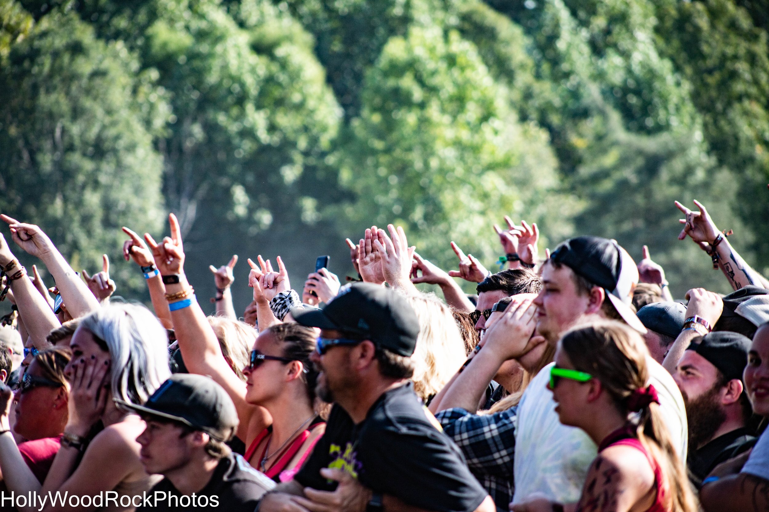 The Crowd Throws the Horns at Blue Ridge Rock Festival by Holly Williams