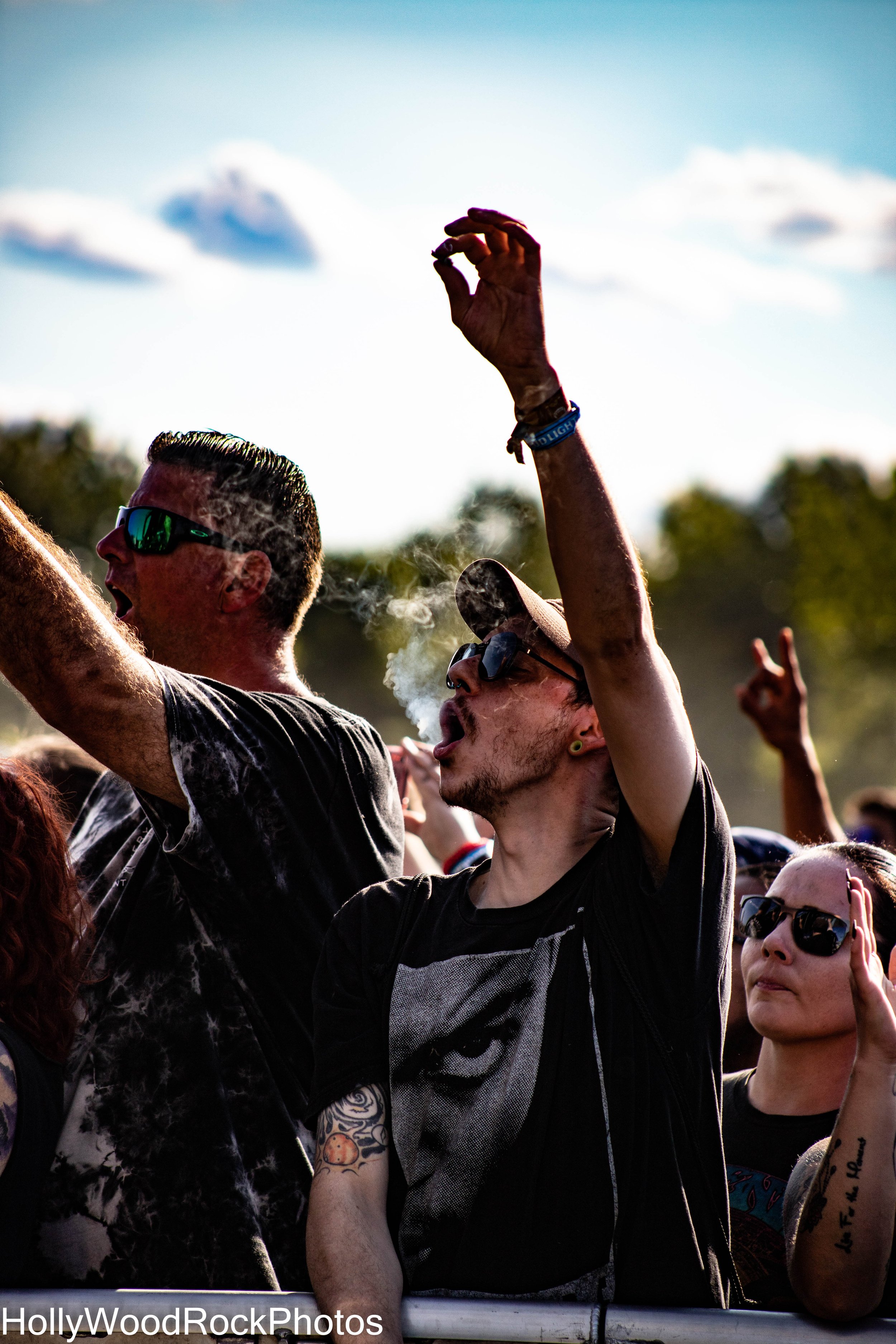 Fans Cheering at Blue Ridge Rock Festival by Holly Williams