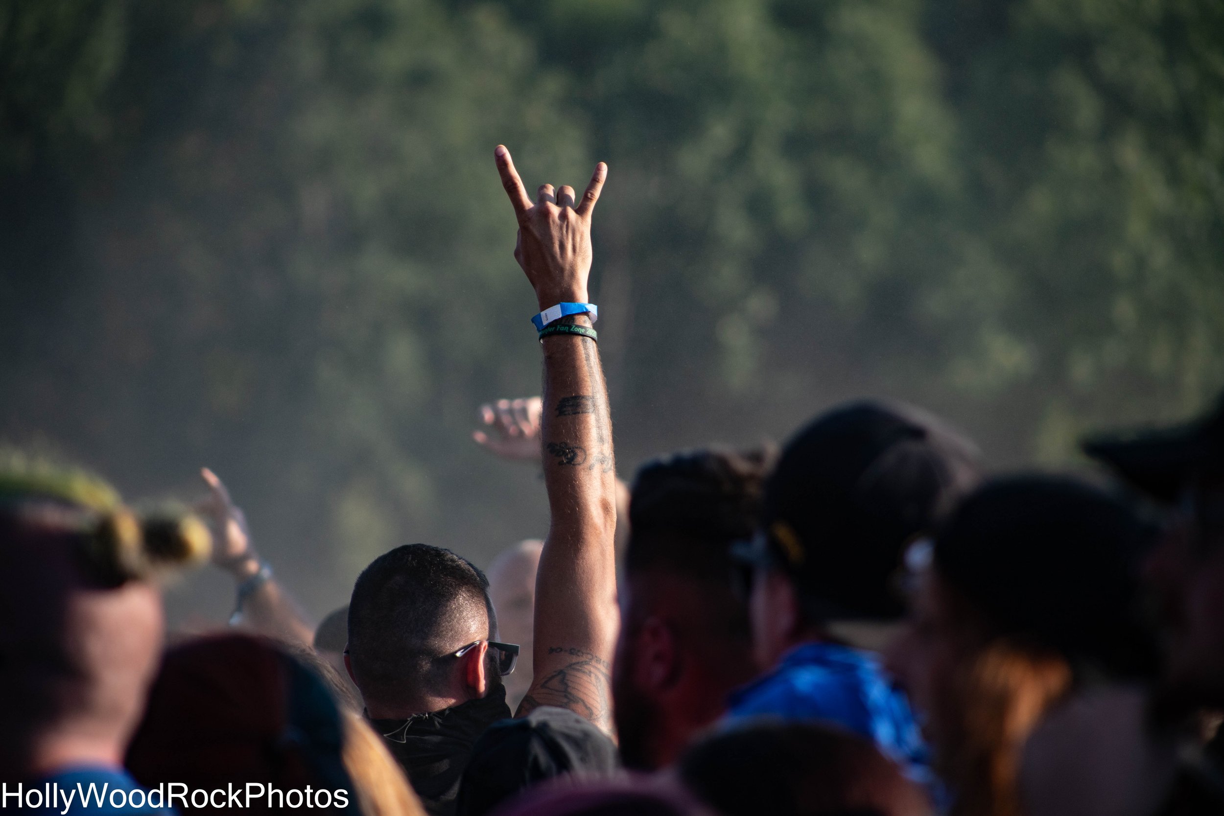 A Fan Throws the Horns at Blue Ridge Rock Festival by Holly Williams