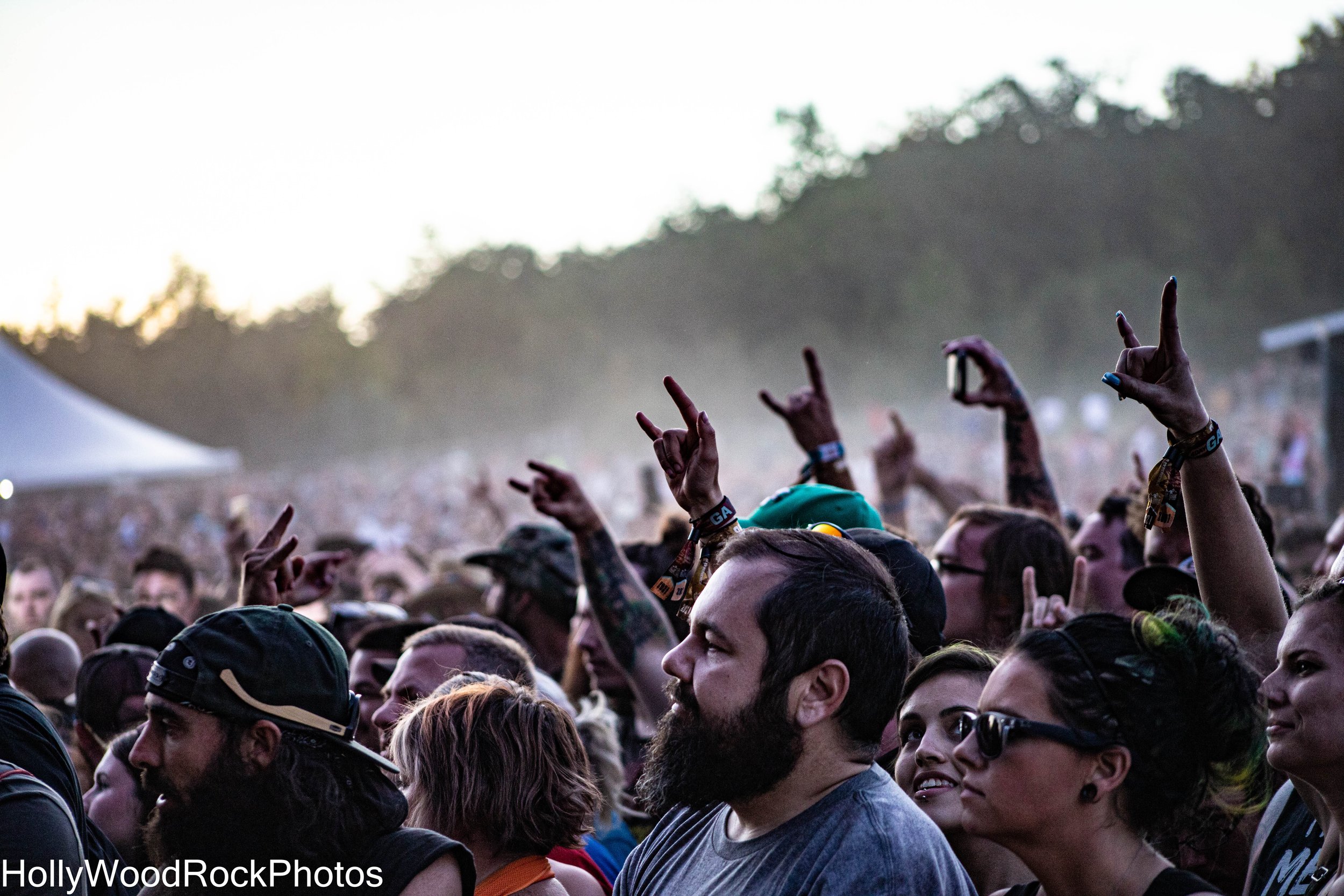 Fans Cheering and Throwing the Horns at at Blue Ridge Rock Festival by Holly Williams