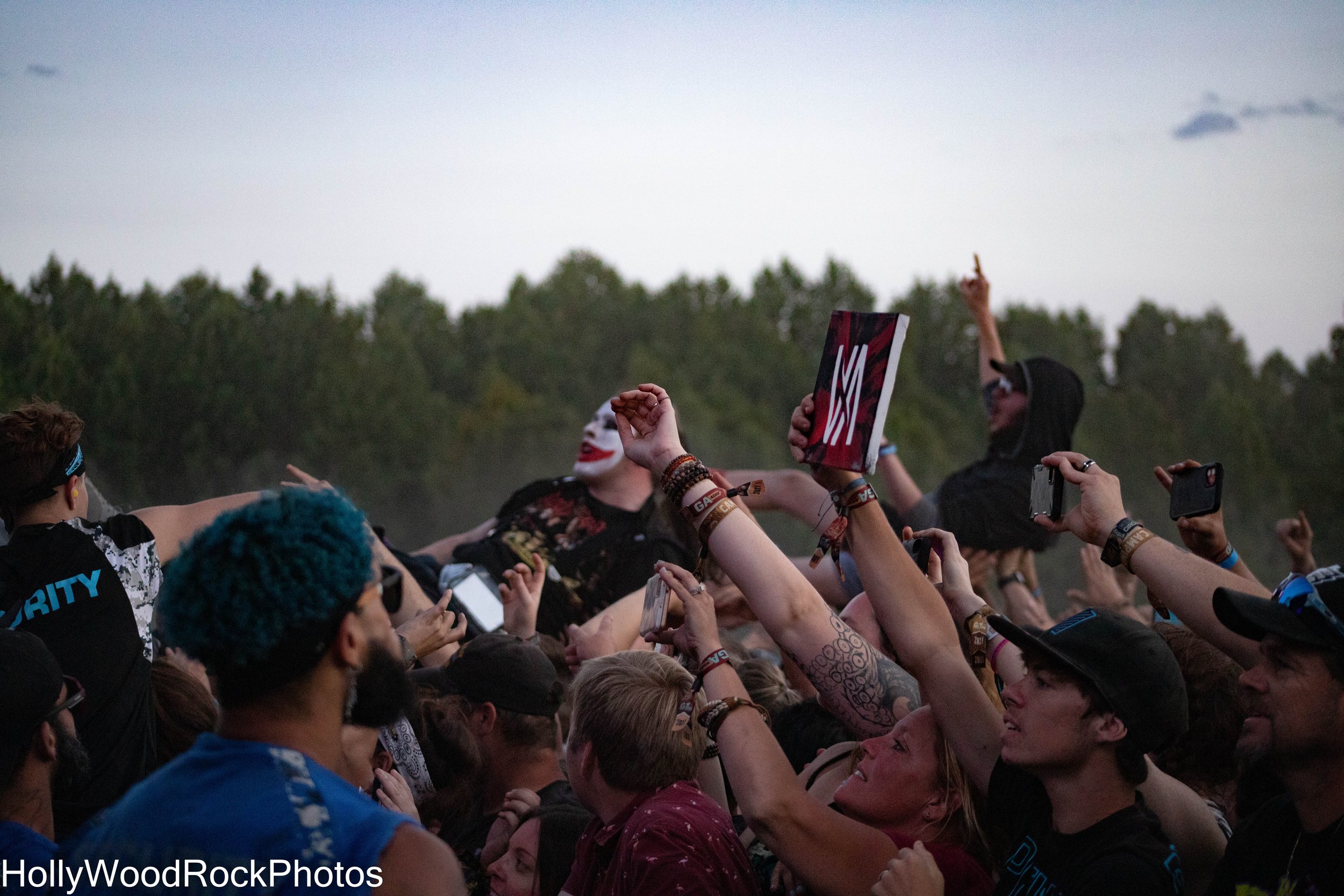 Crowd Surfers at Blue Ridge Rock Festival by Holly Williams