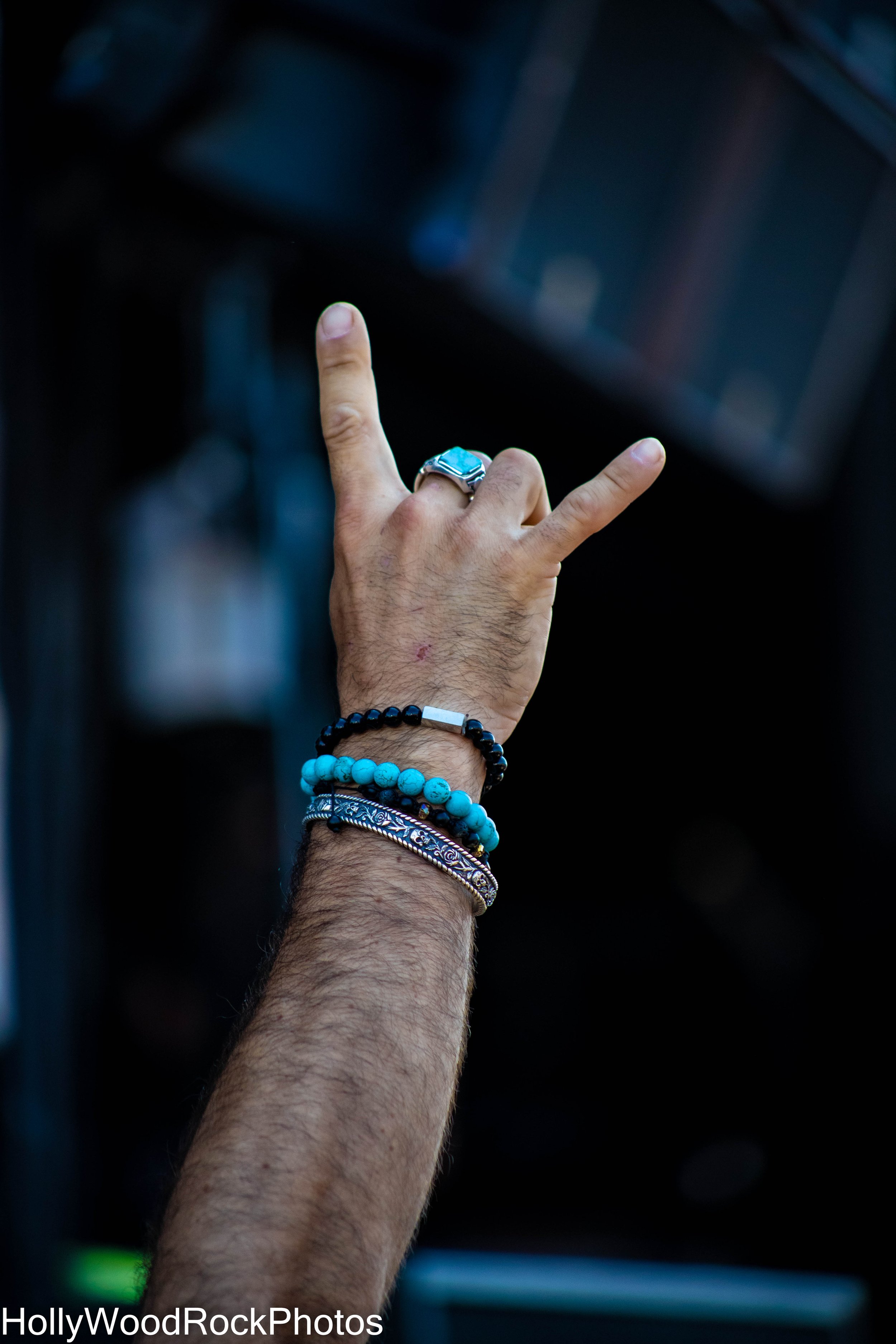 A Fan Throwing the Horns at Blue Ridge Rock Festival by Holly Williams