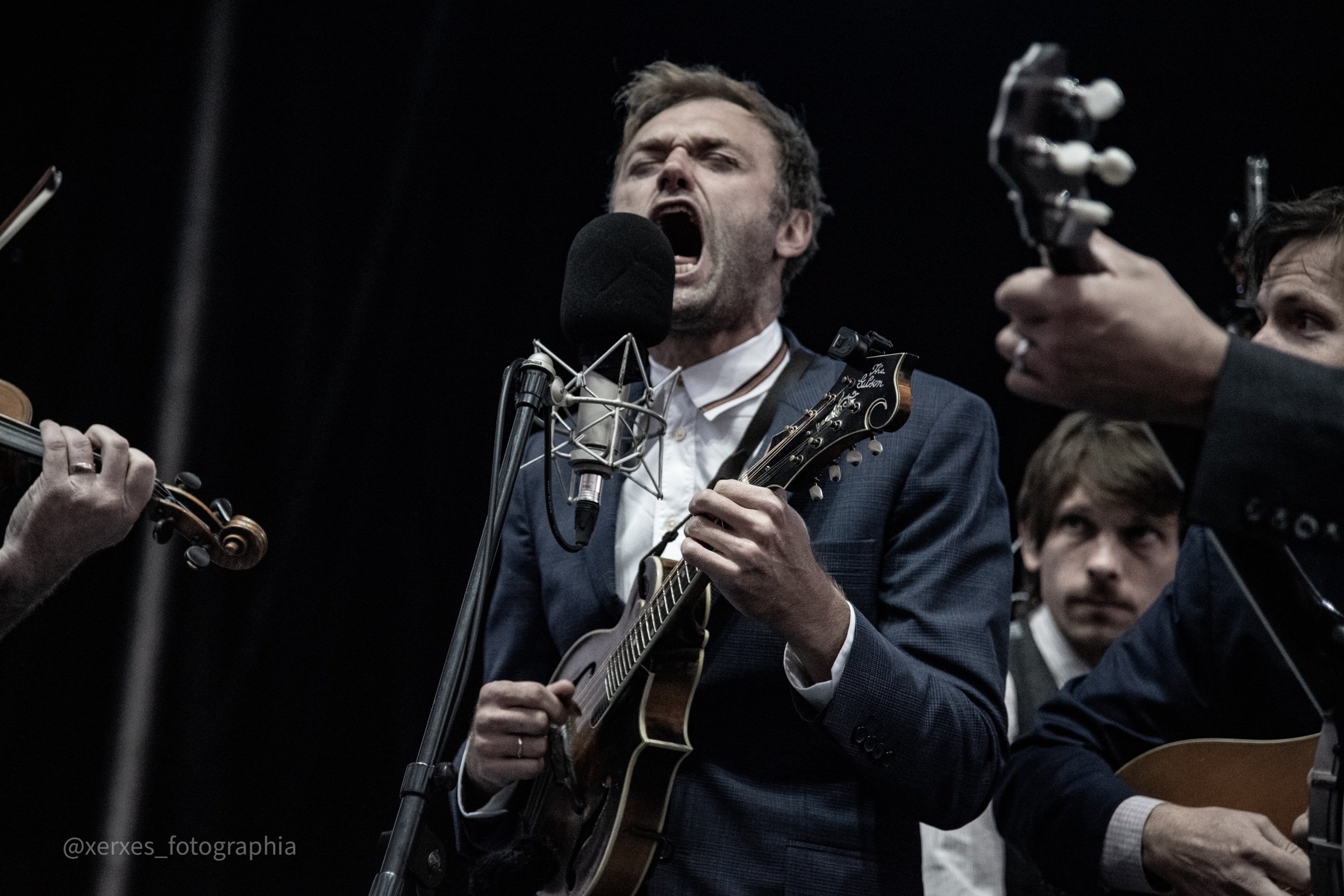 Punch Brothers 