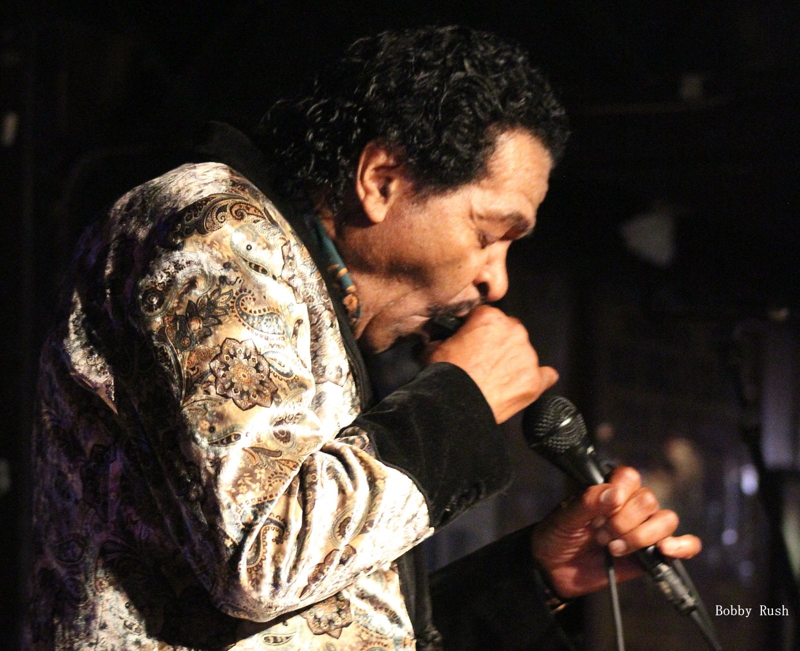 Bobby Rush (10).JPG