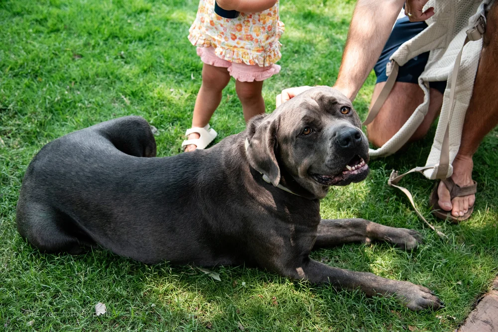 Newnan Porch Fest - random-46.jpeg