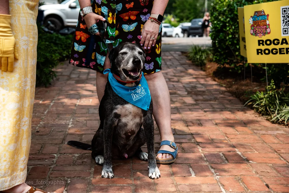 Newnan Porch Fest - random-09.jpeg