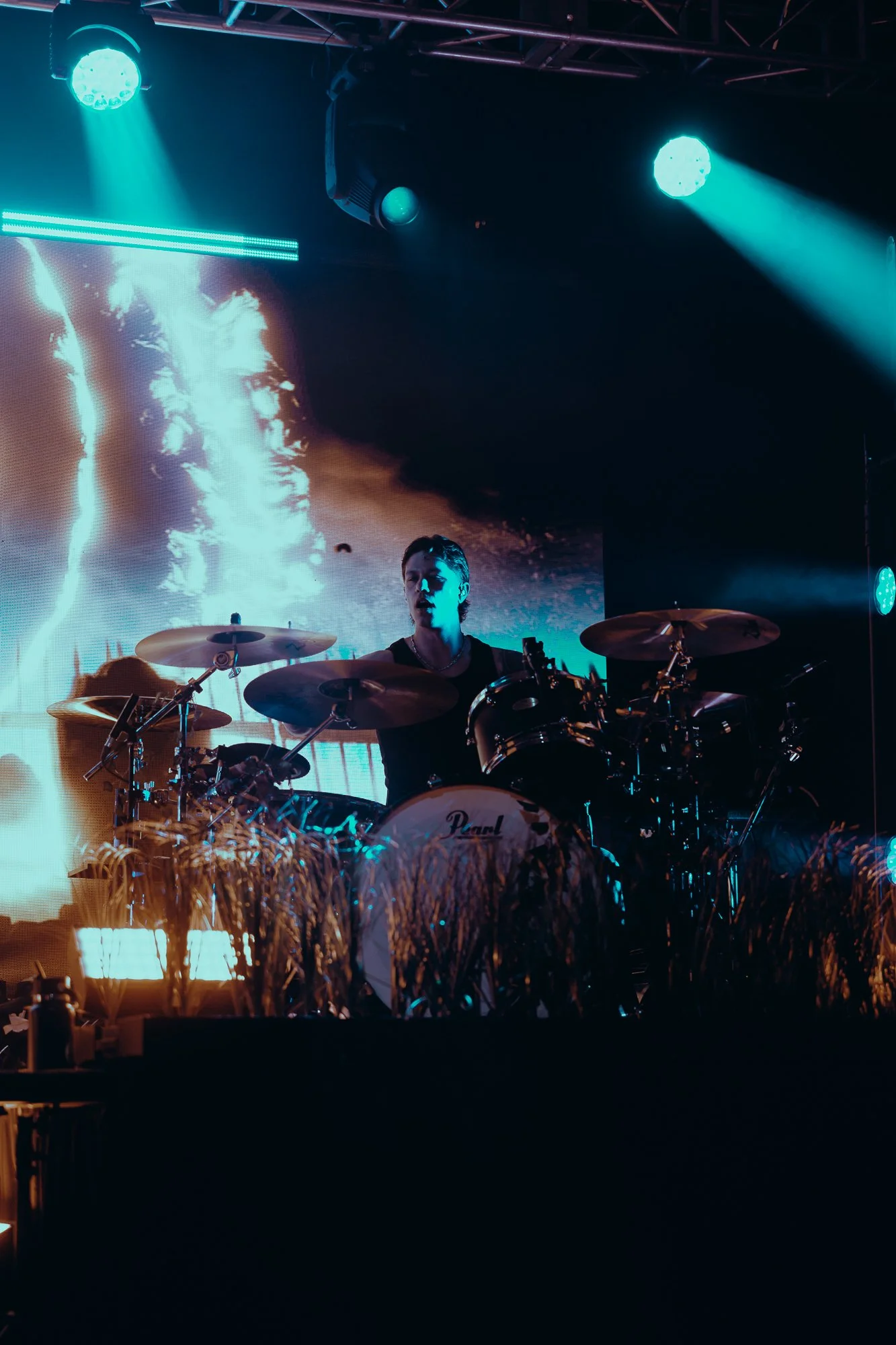 Dayseeker