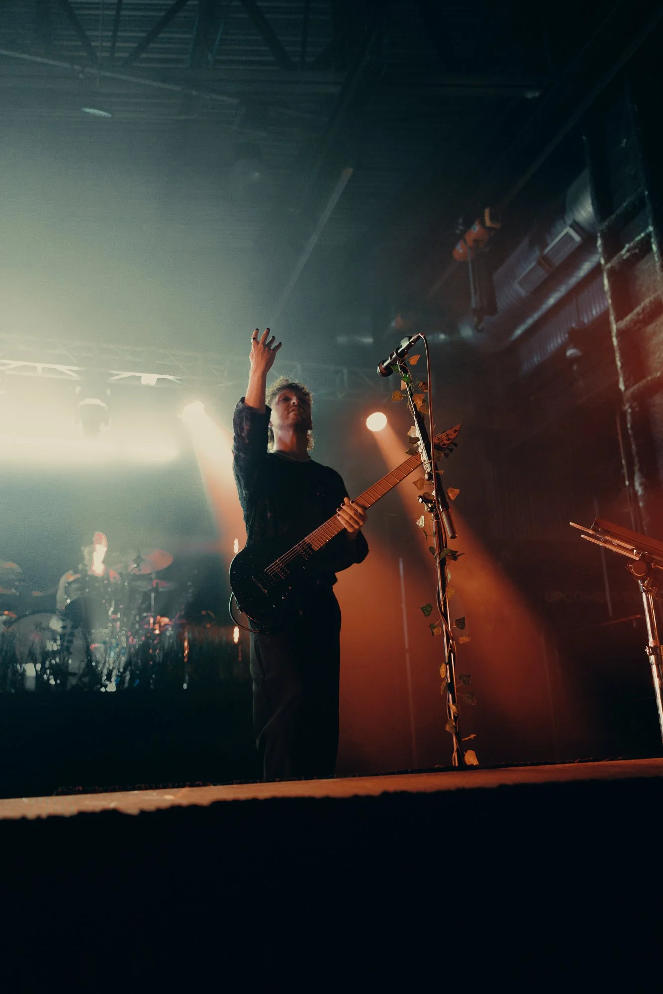 Dayseeker