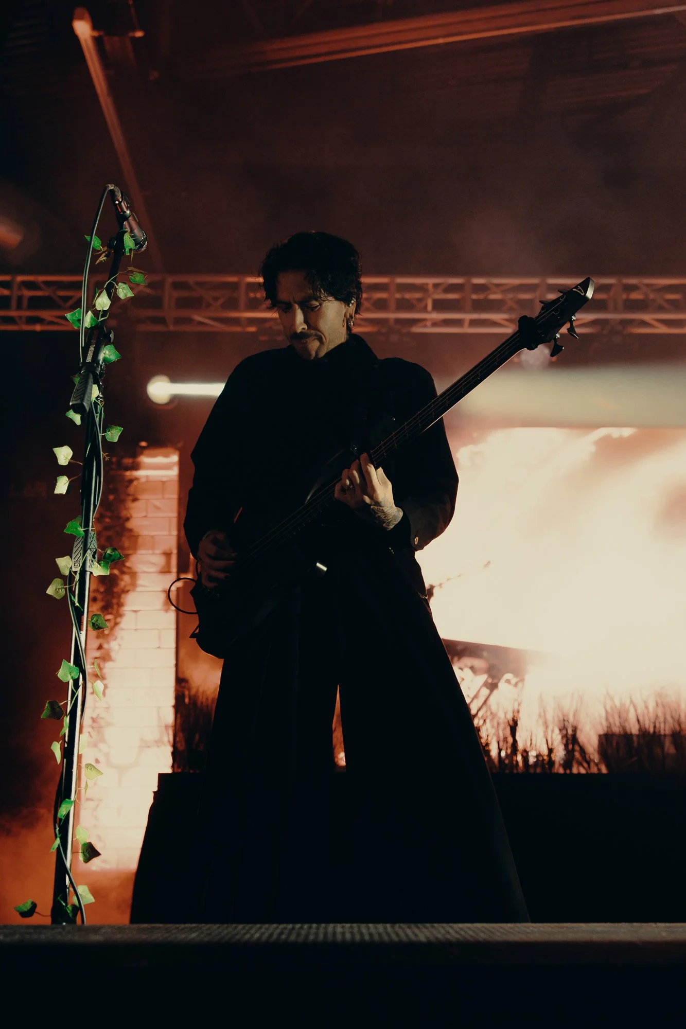 Dayseeker