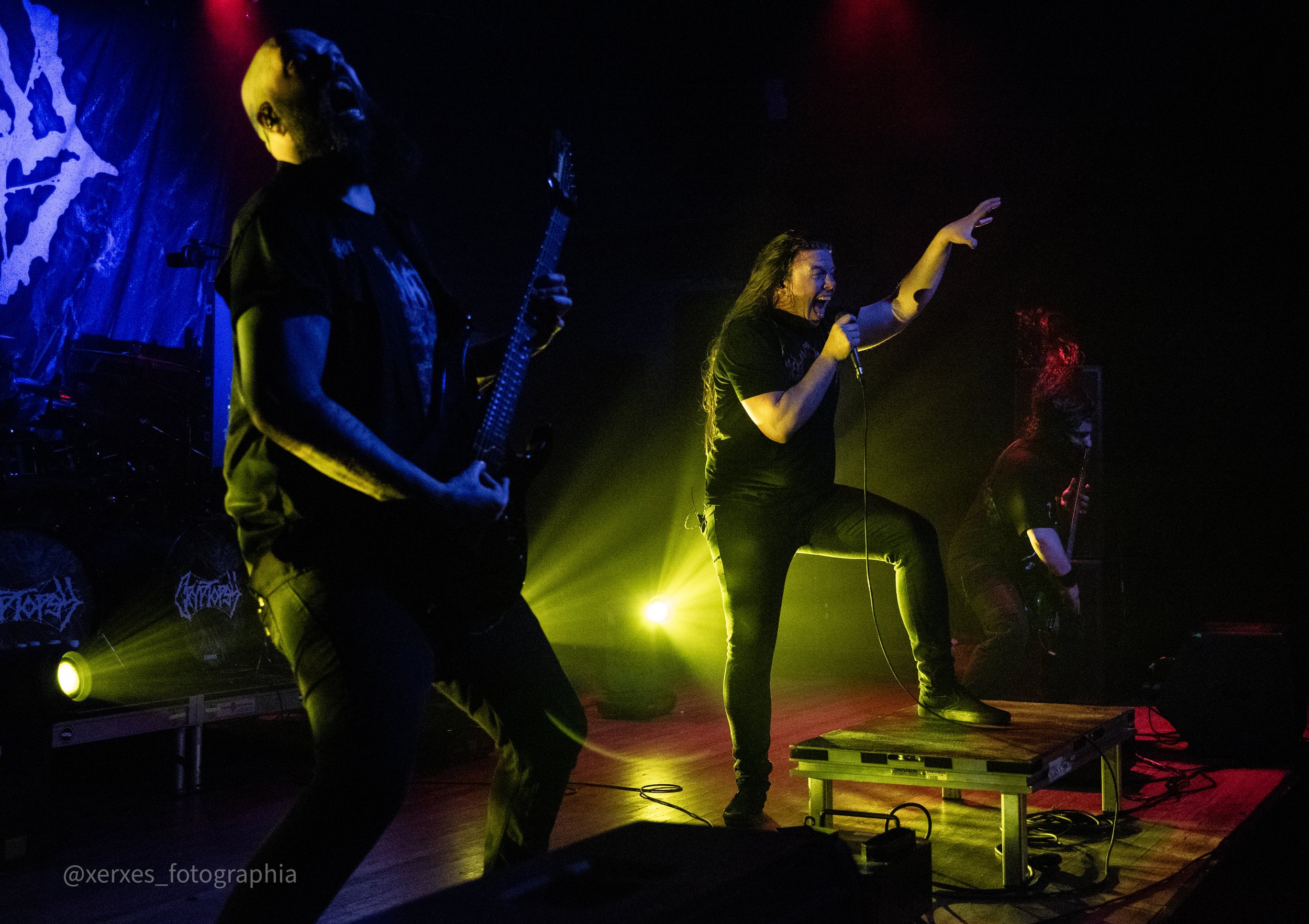 Cryptopsy