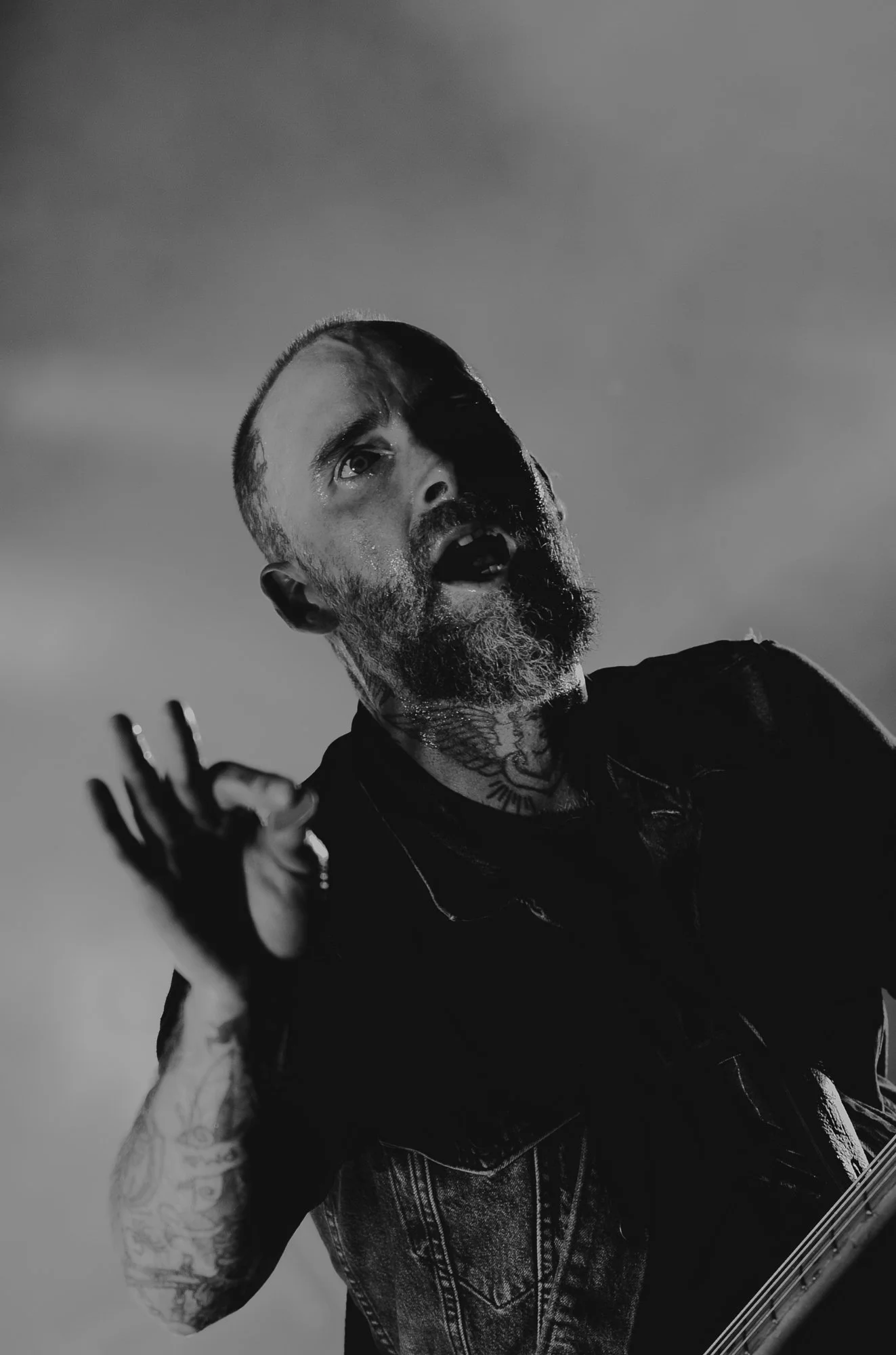 Alexisonfire