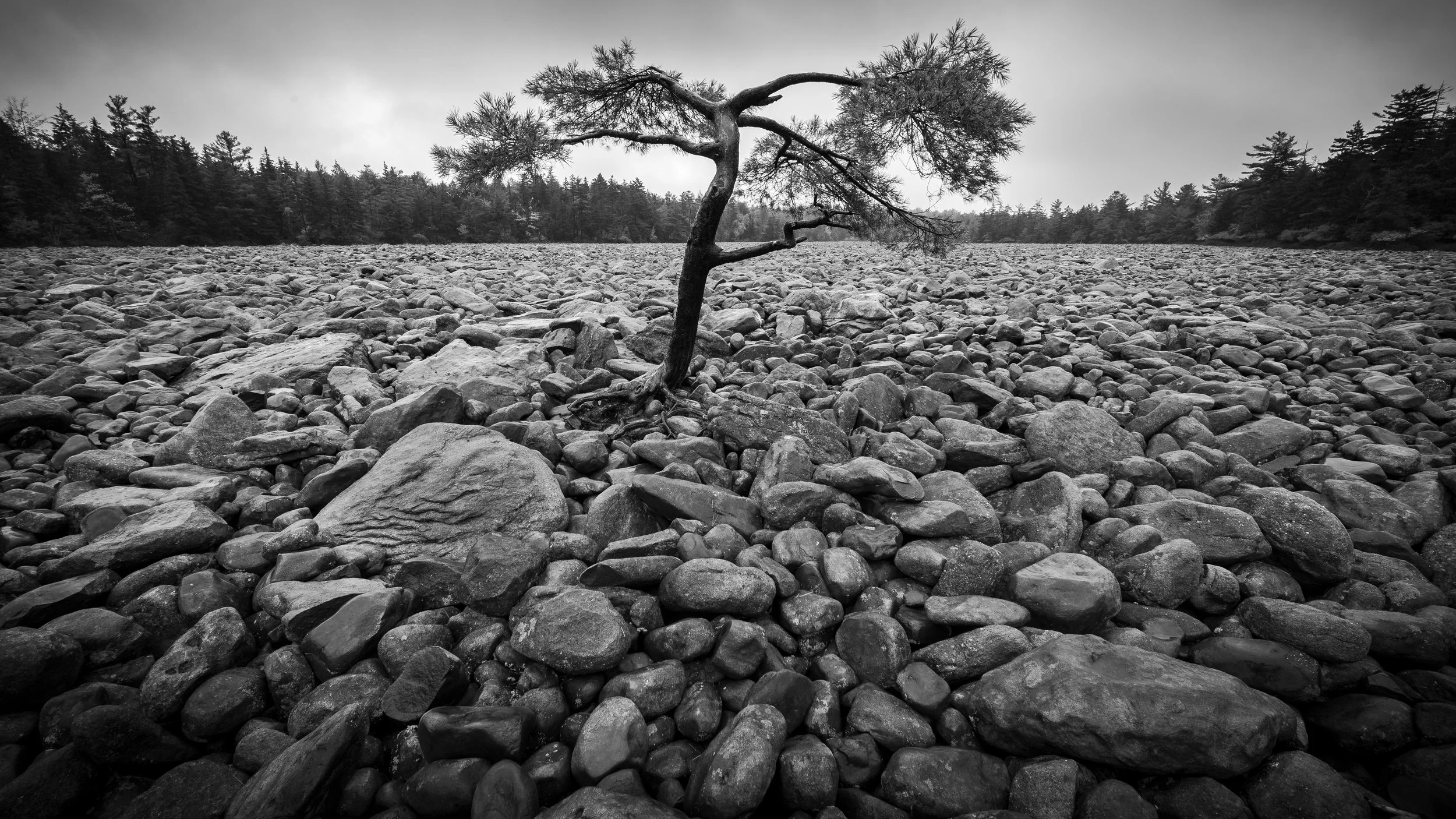 10.13.2022.boulderfield.web.jpg