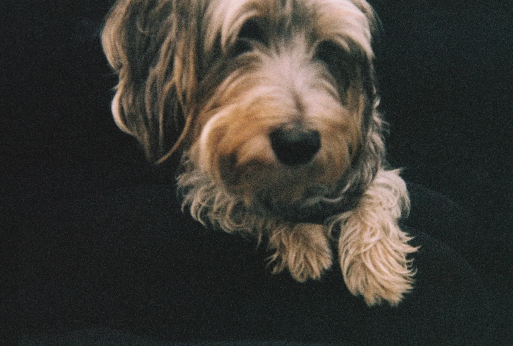 FH000003.jpg