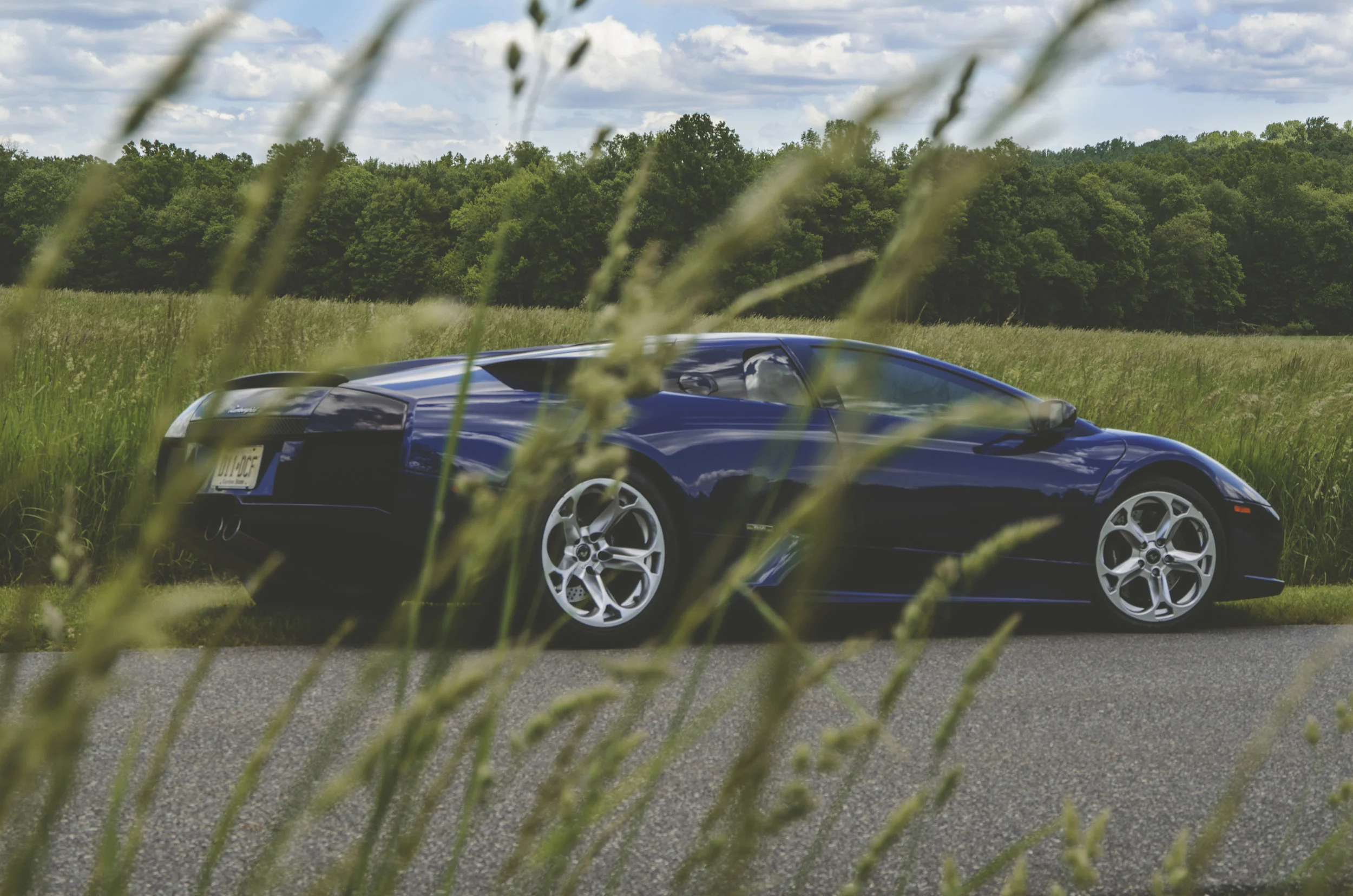  Murcielago006 