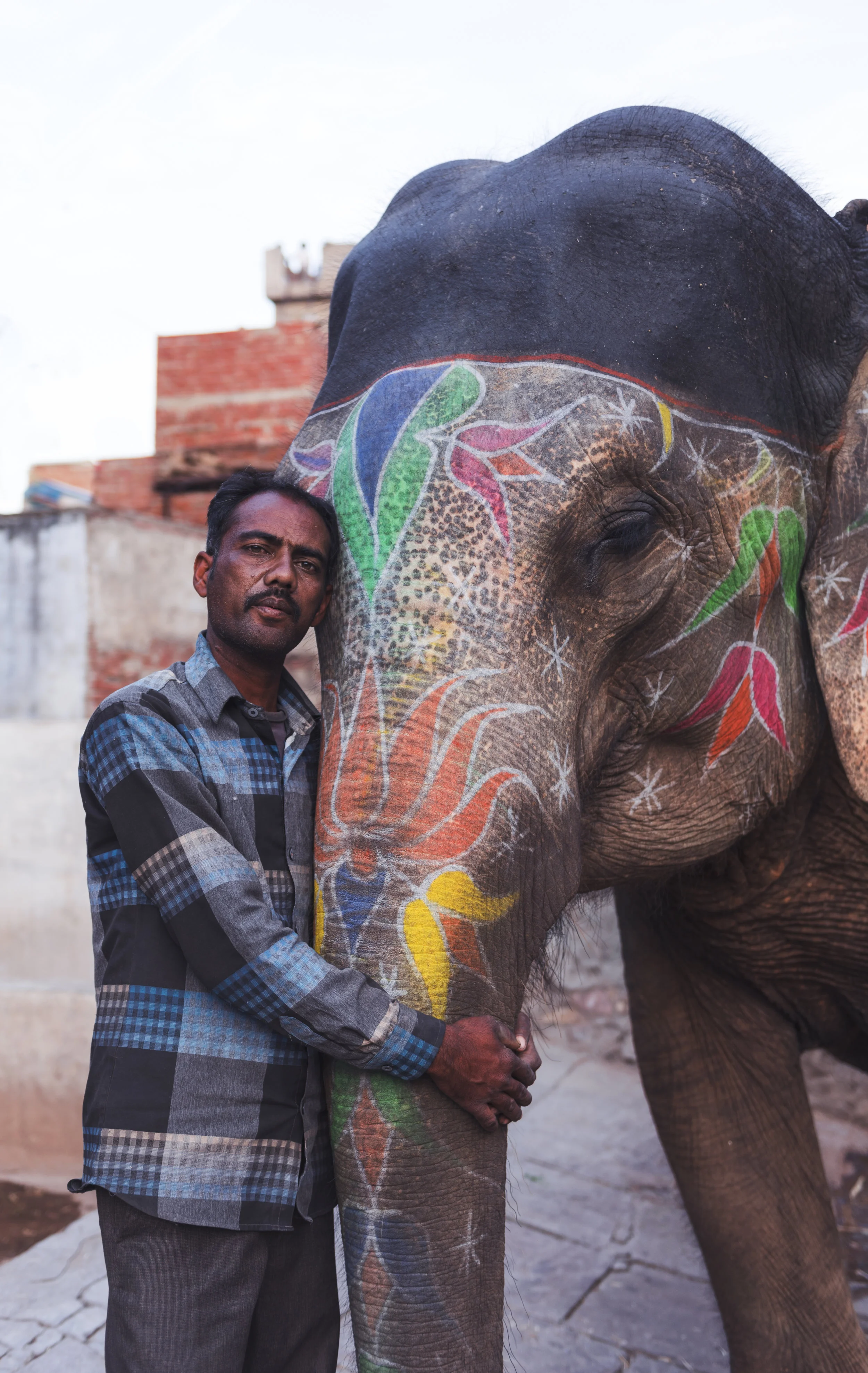 India013