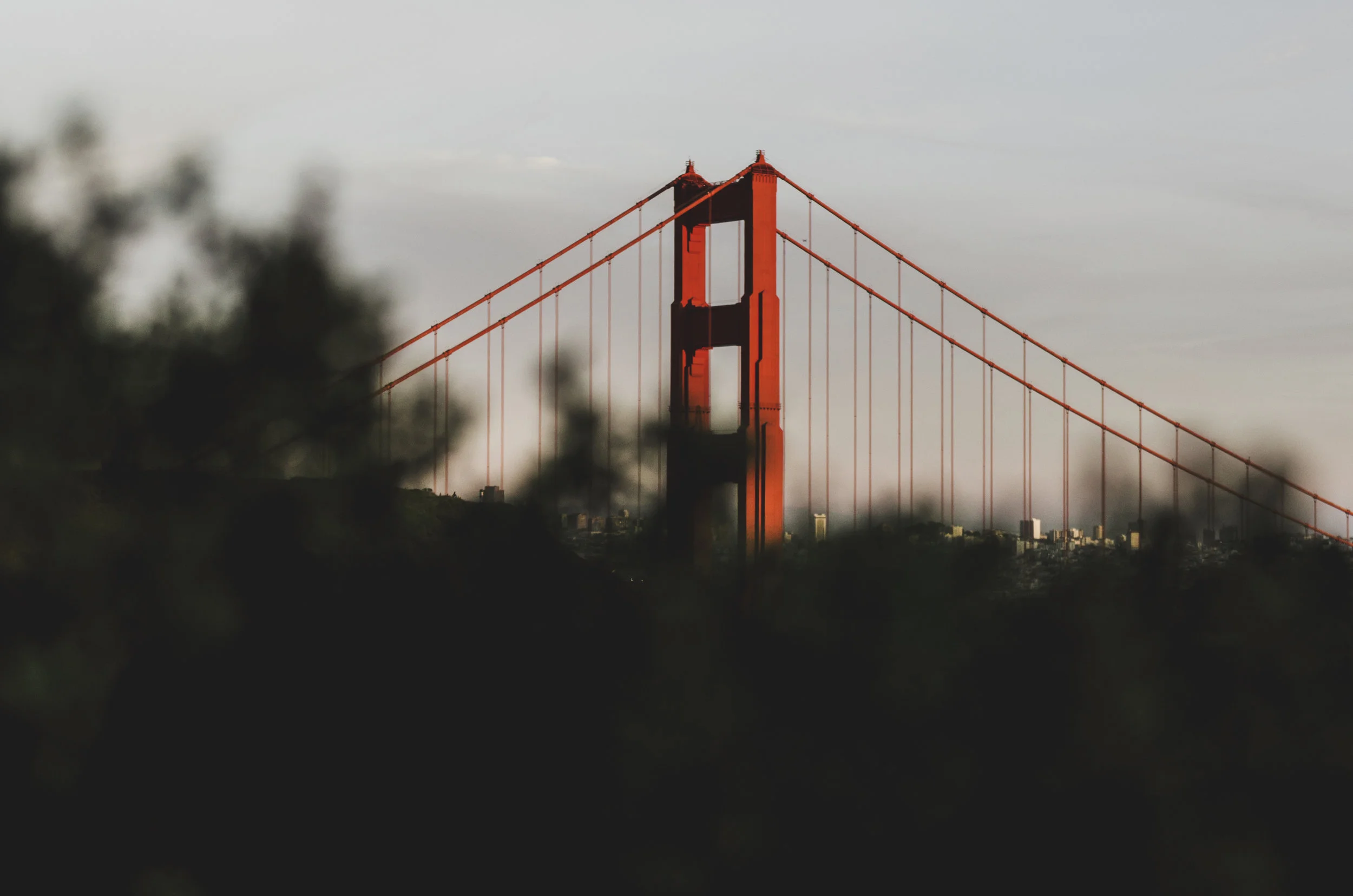 California003