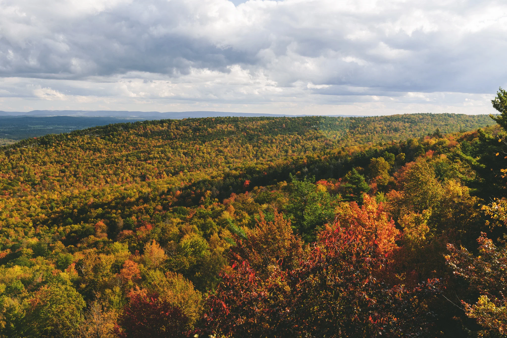 Autumn006