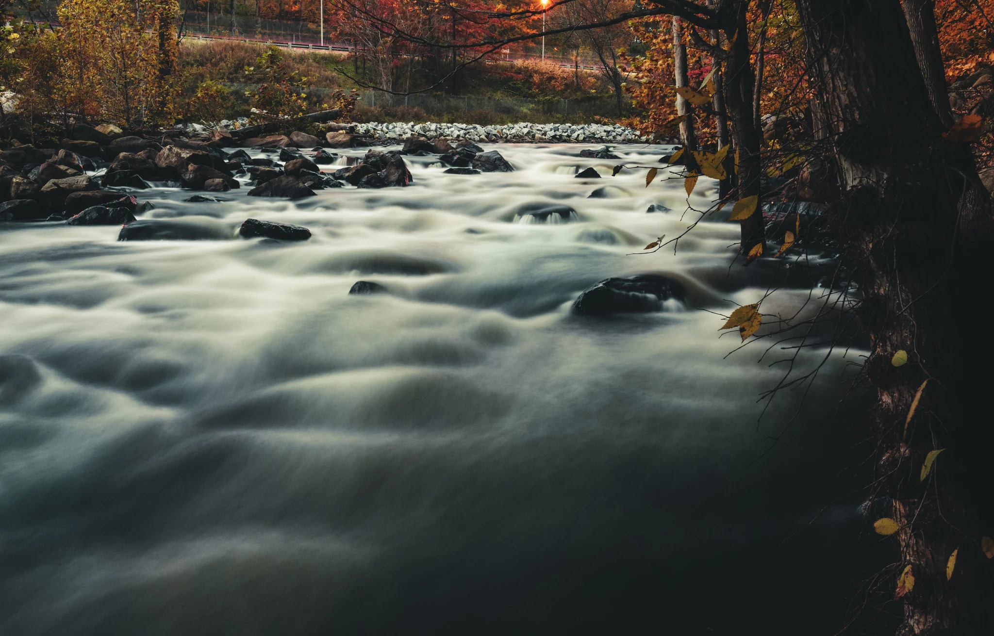 Autumn008
