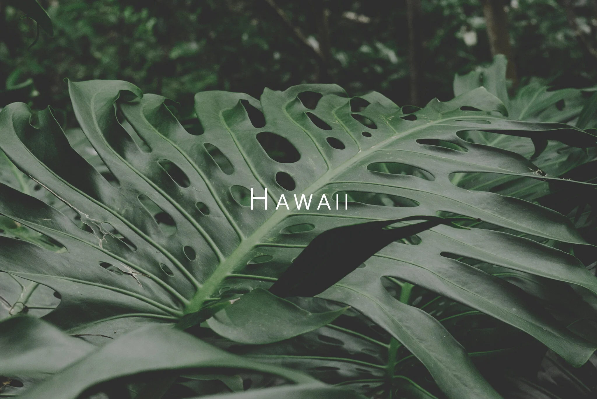 HawaiiThumb.jpg