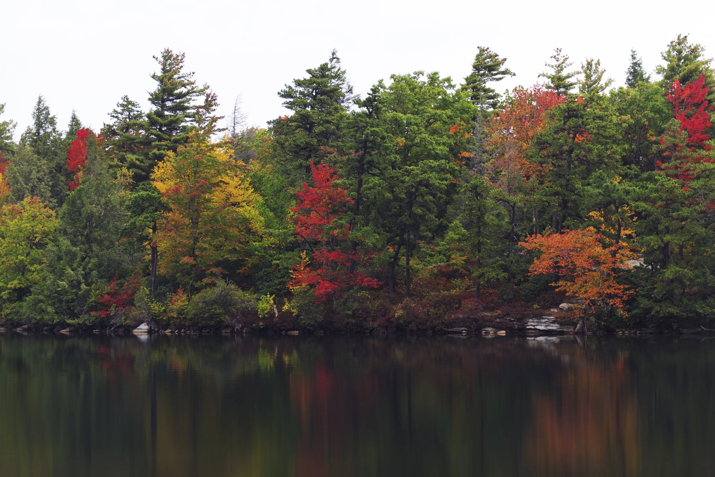 Northeast Autumn