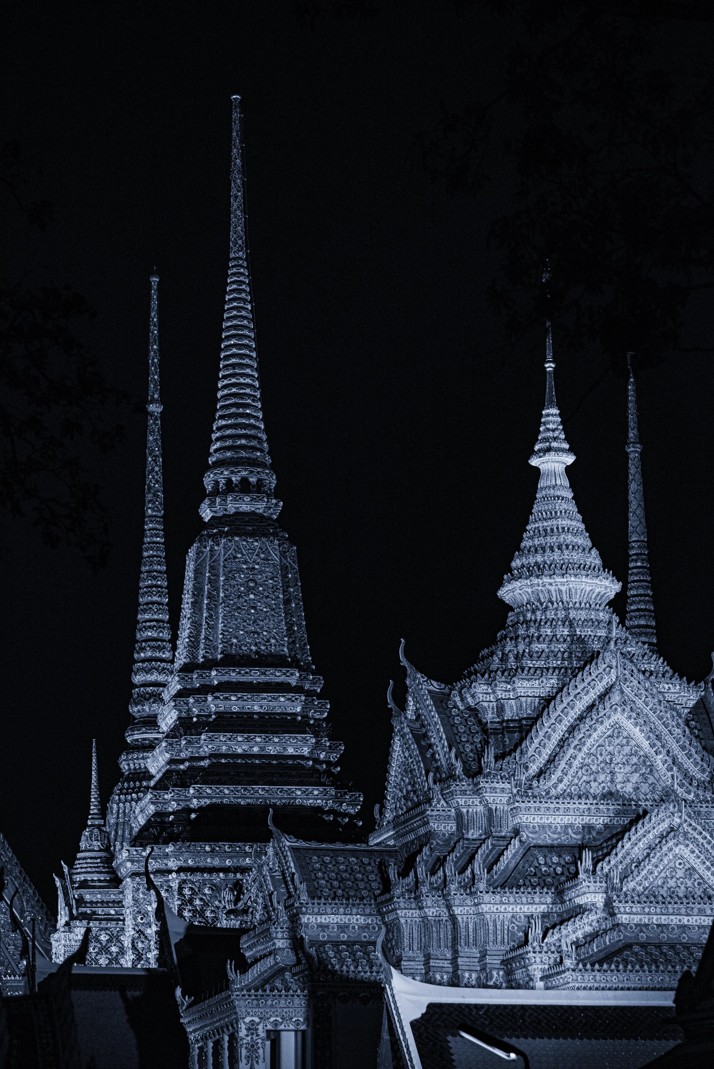 Night Protectors
