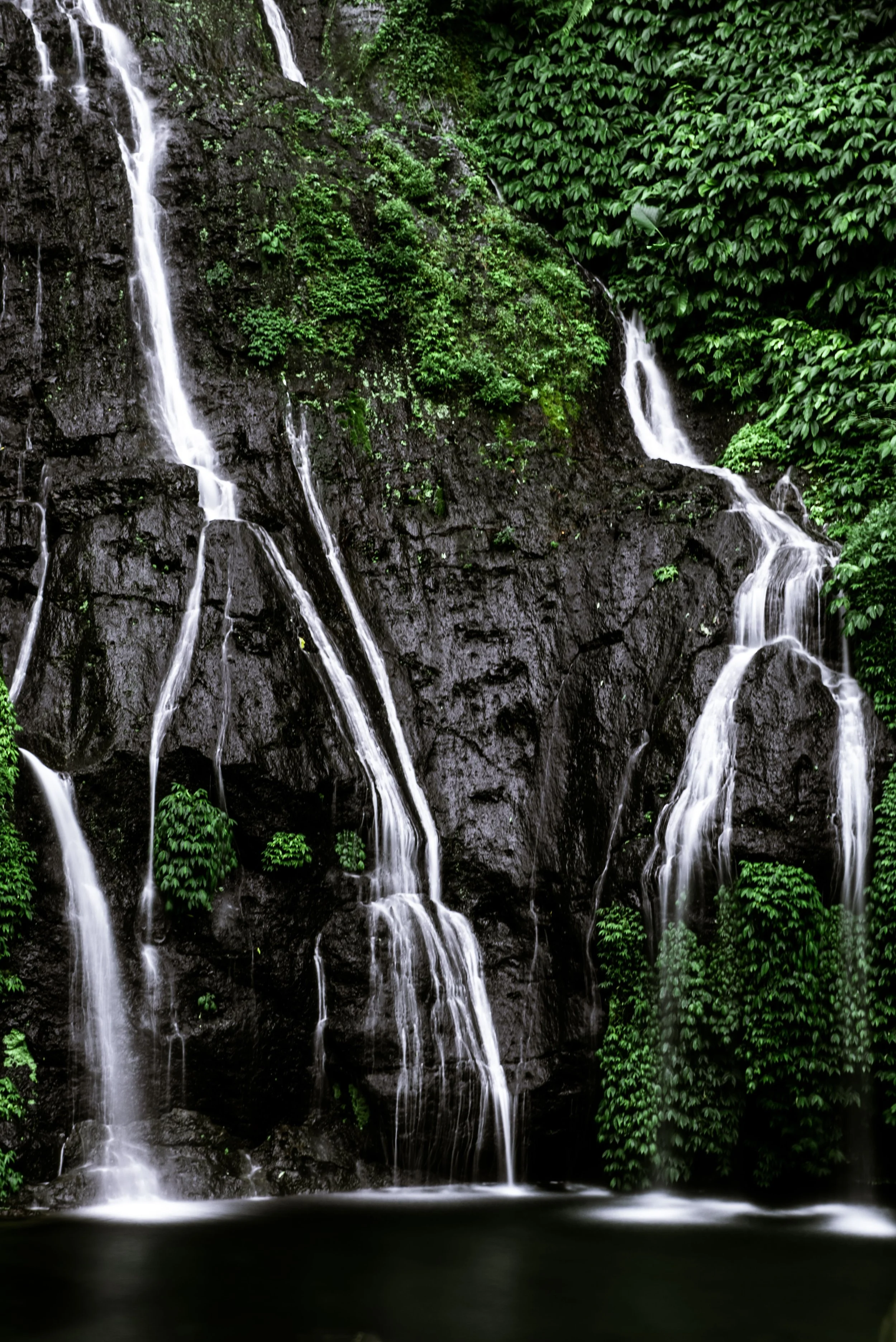 DSC_3613.jpg