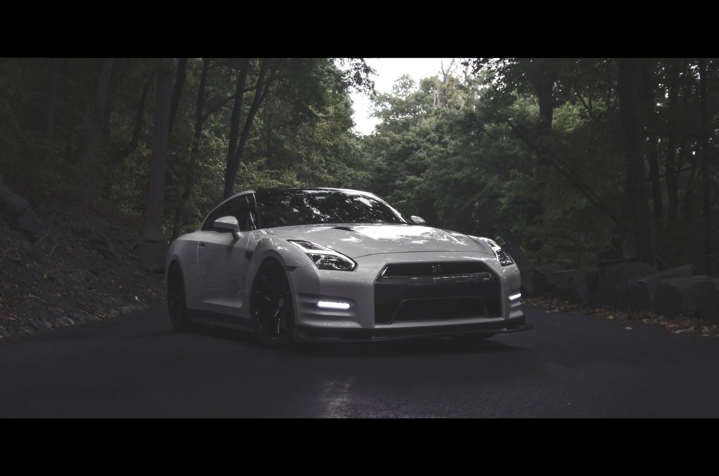 godzilla-in-the-woods_15161797055_o.jpg