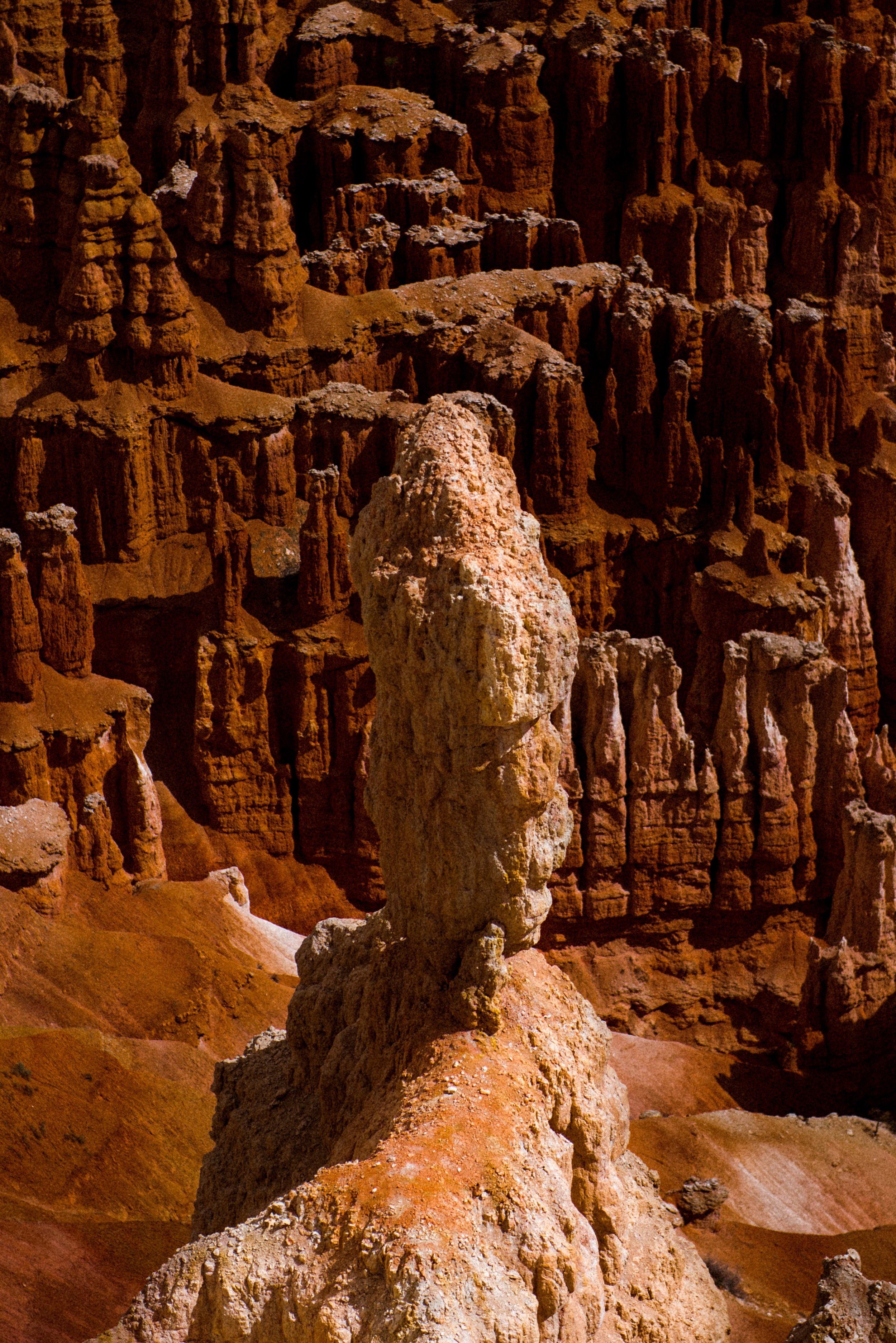 DSC_1675.jpg