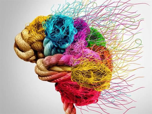 Colourful Brain.jpg
