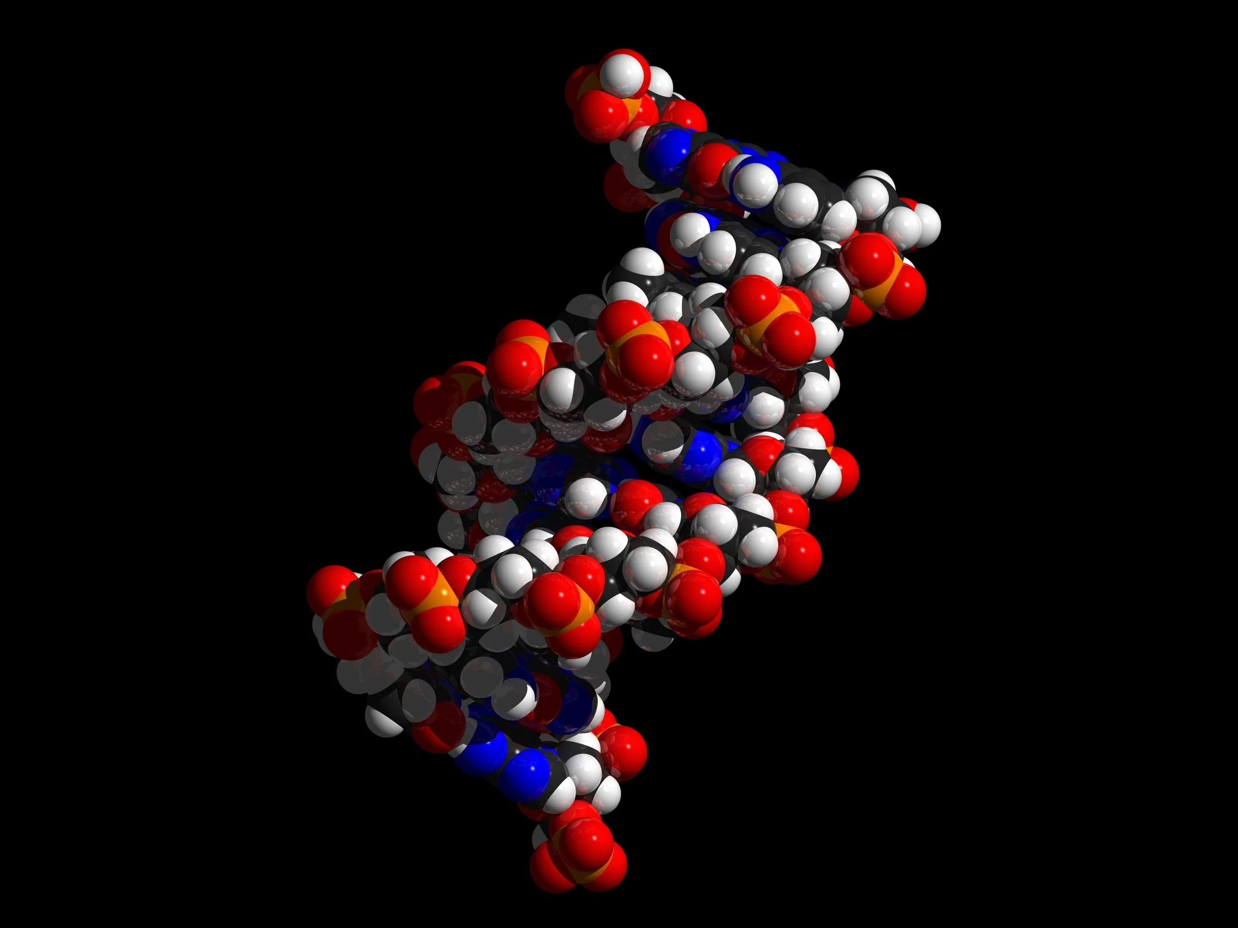 dna-694798.jpg