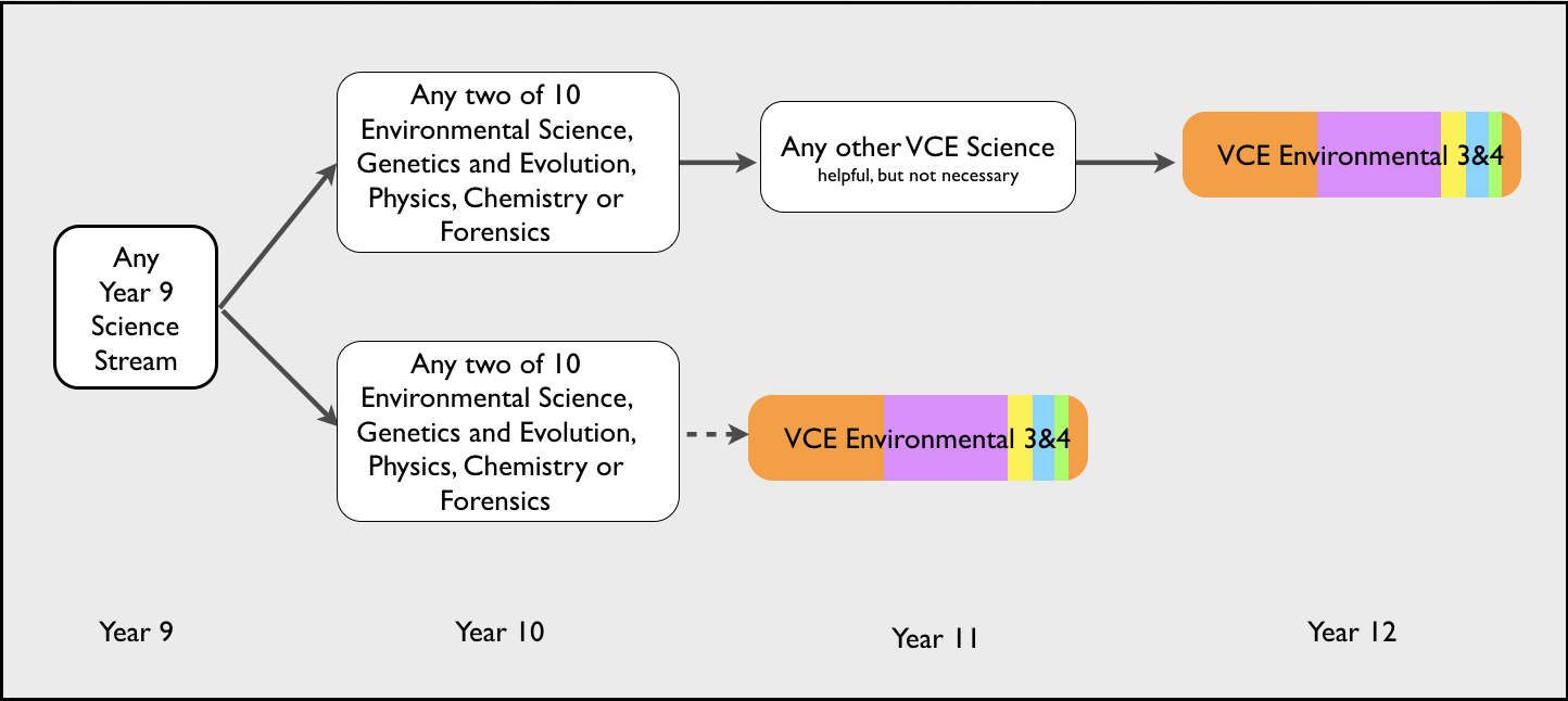 Environmental_Pathway.png