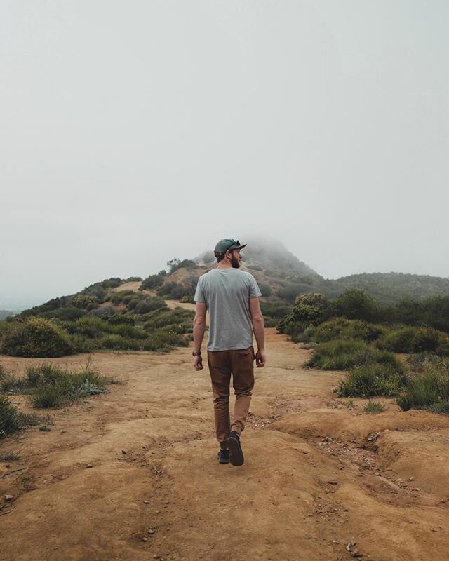 Misty mountains on the top of Mulholland Drive. Thanks to @momentum_productions for showing us this dope spot! 📷 @3dcampbell 
#mulhollanddrive #mulholland #mistymountains #optoutside #takemeback #explorelife #searchandcreate #create