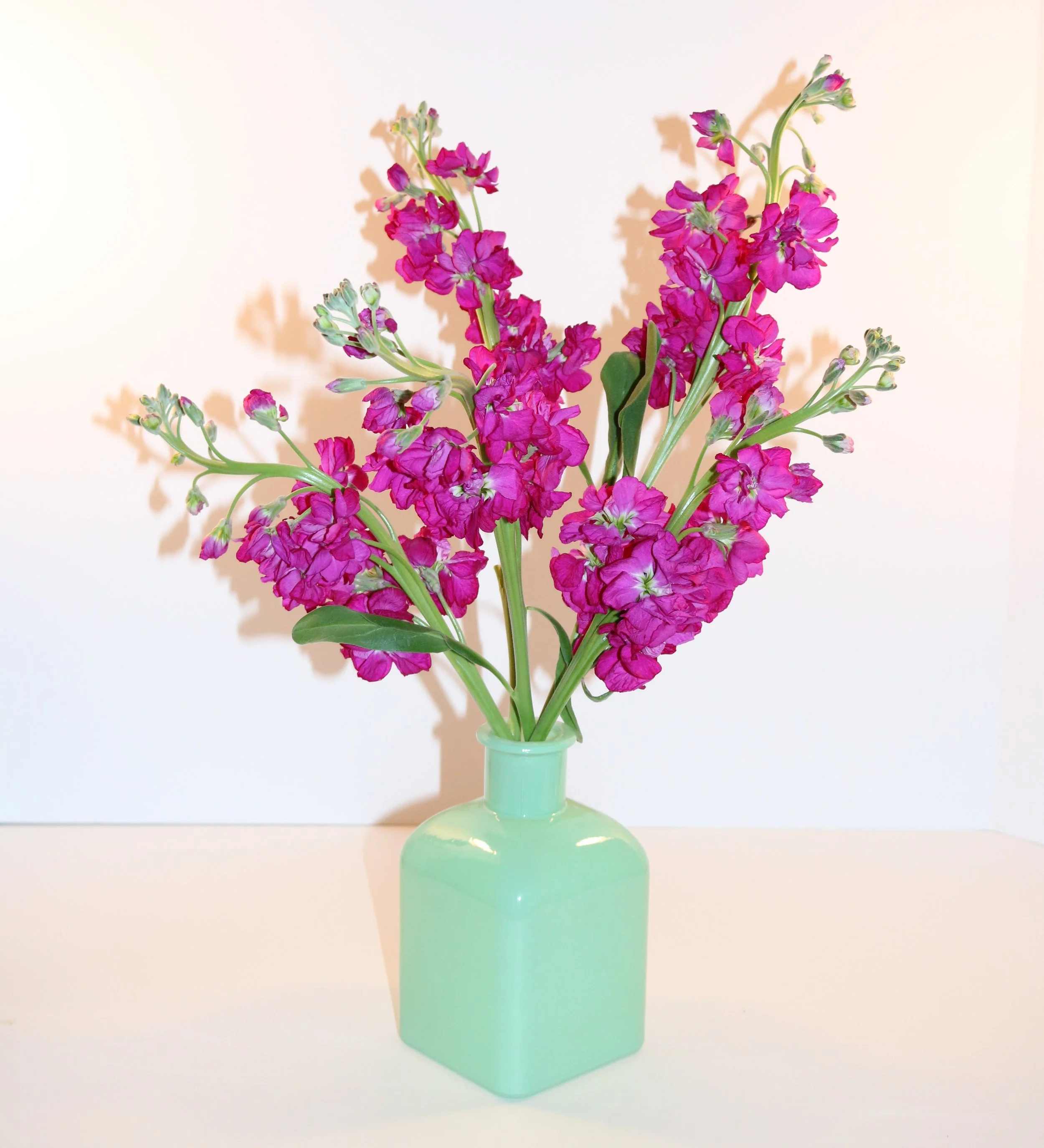 Arranging Flowers at Home