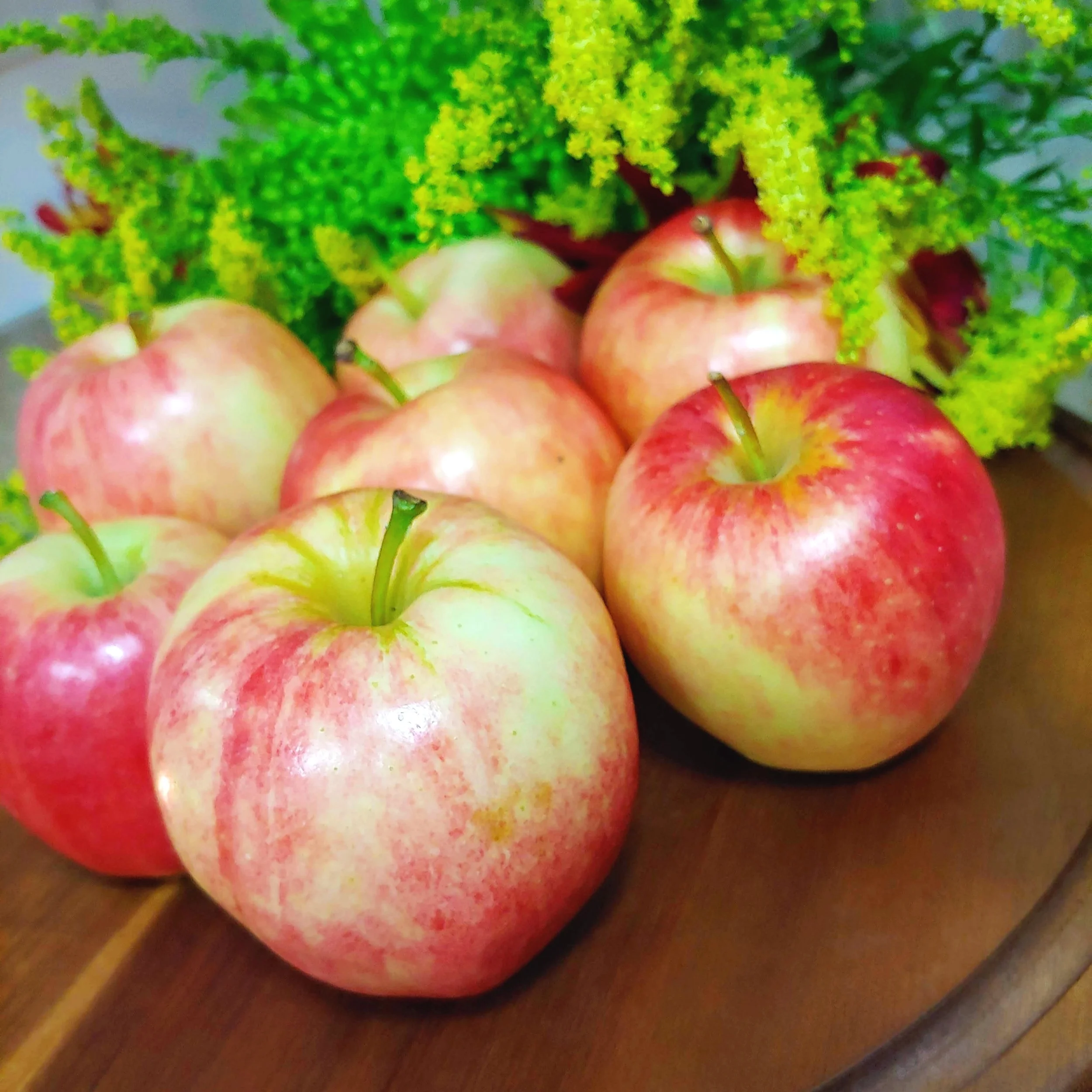 Autumn Apples