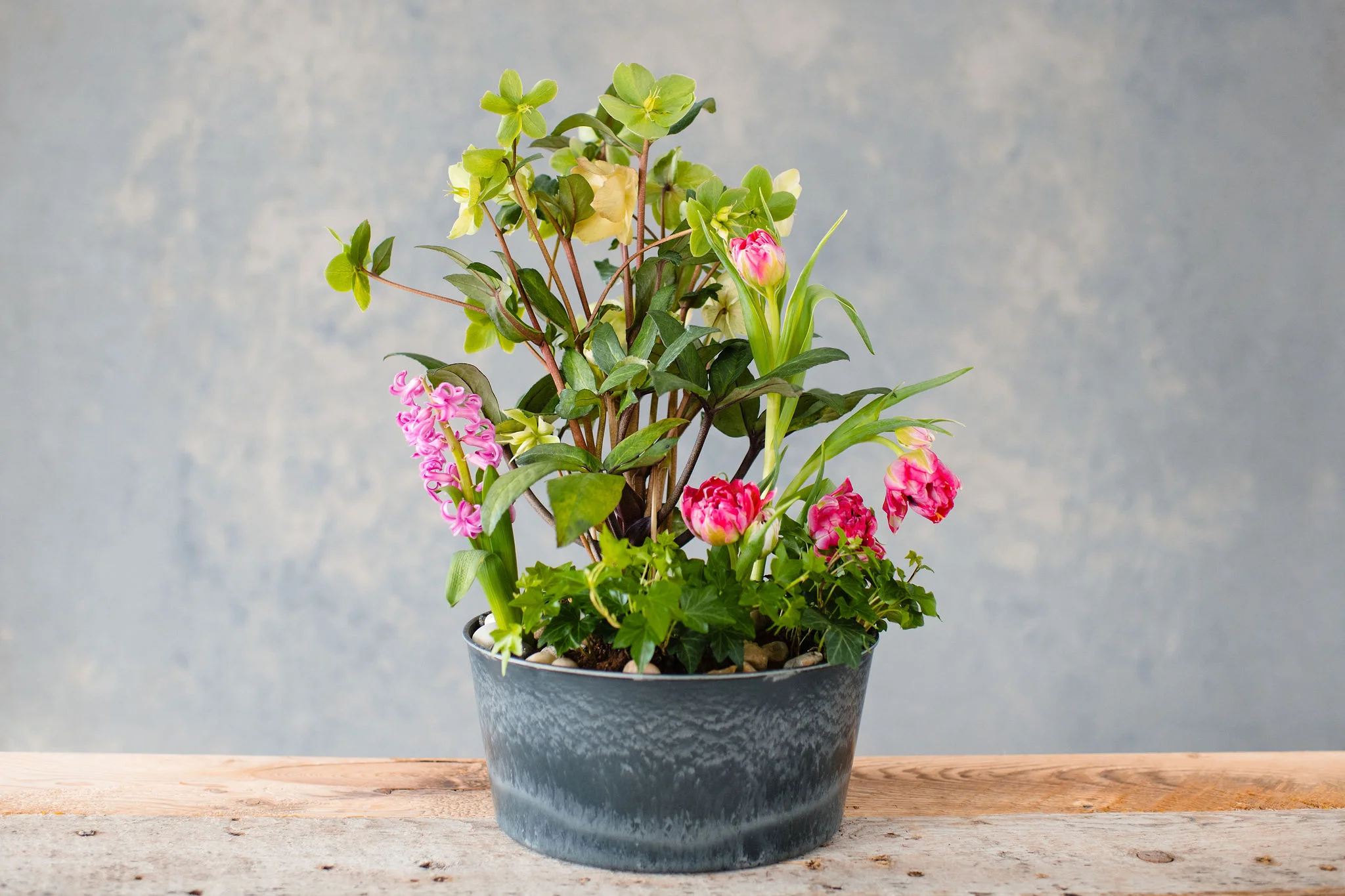 Pot Et Fleur.jpg