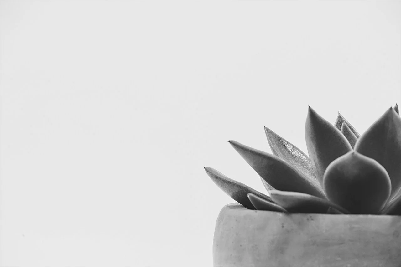 5 Things I learned from my first limited edition event