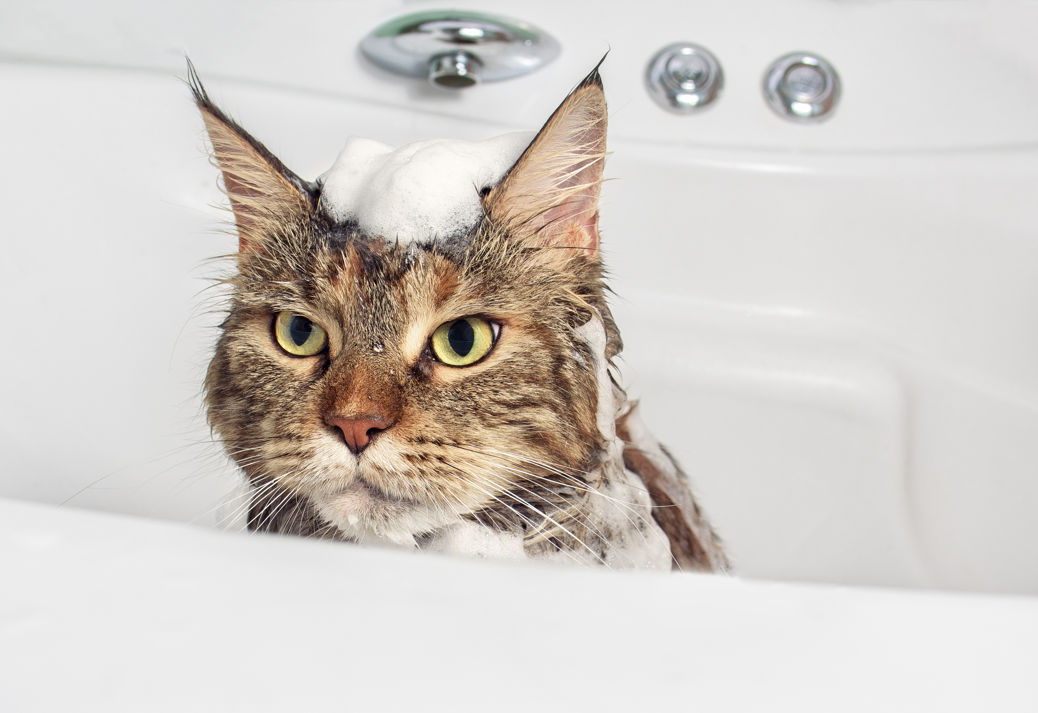 Photo by ollegN/iStock / Getty Images