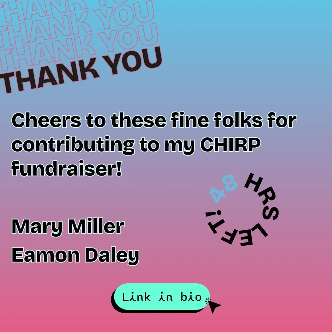 🪩 Thanks to these fine folks who have already contributed to my @chirpradio fall fundraiser:

Eamon Daley/Pop Up Karaoke @popupkaraoke 
Mary Miller @mary.l.miller.5622022

Help me raise $500 for my favorite station CHIRP Radio 107.1fm Chicago (which