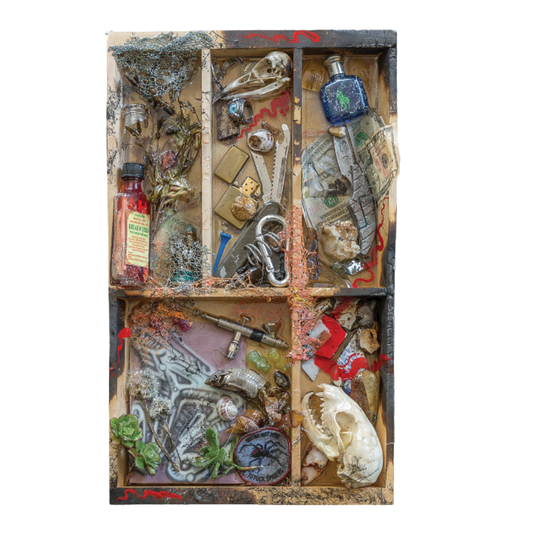 Bailer Melbourne Graffiti Artist - Solo Exhibition Mixed Messages - Artwork titled Medusolaris
